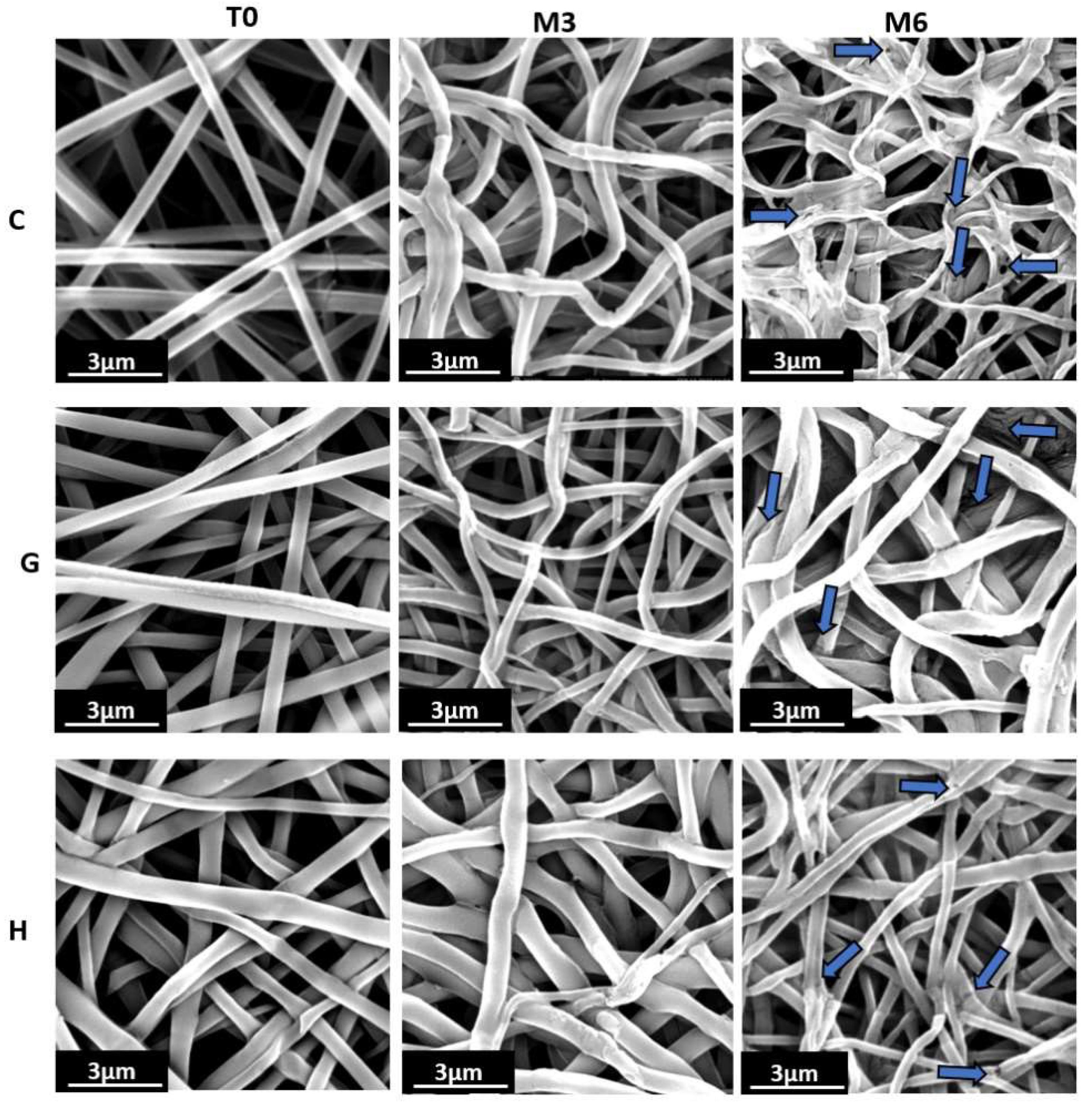 Molecules 27 04154 g004