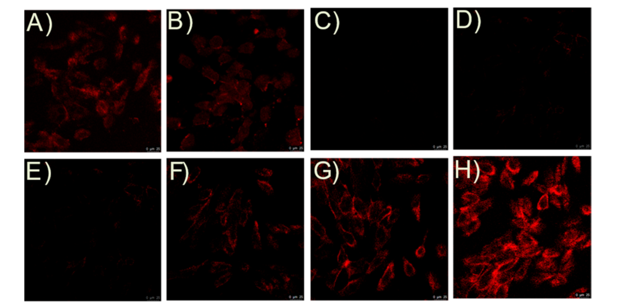 Molecules 27 04155 g009 Molecules 27 04155 g009