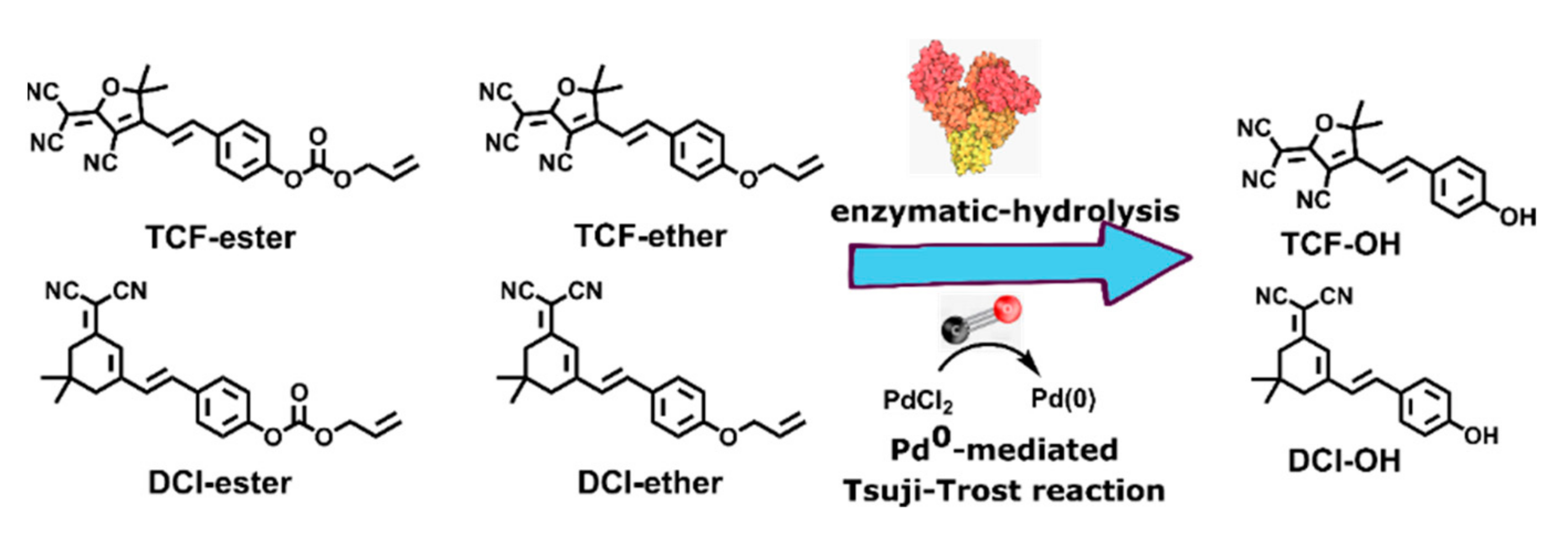 Molecules 27 04155 sch001 Molecules 27 04155 sch001