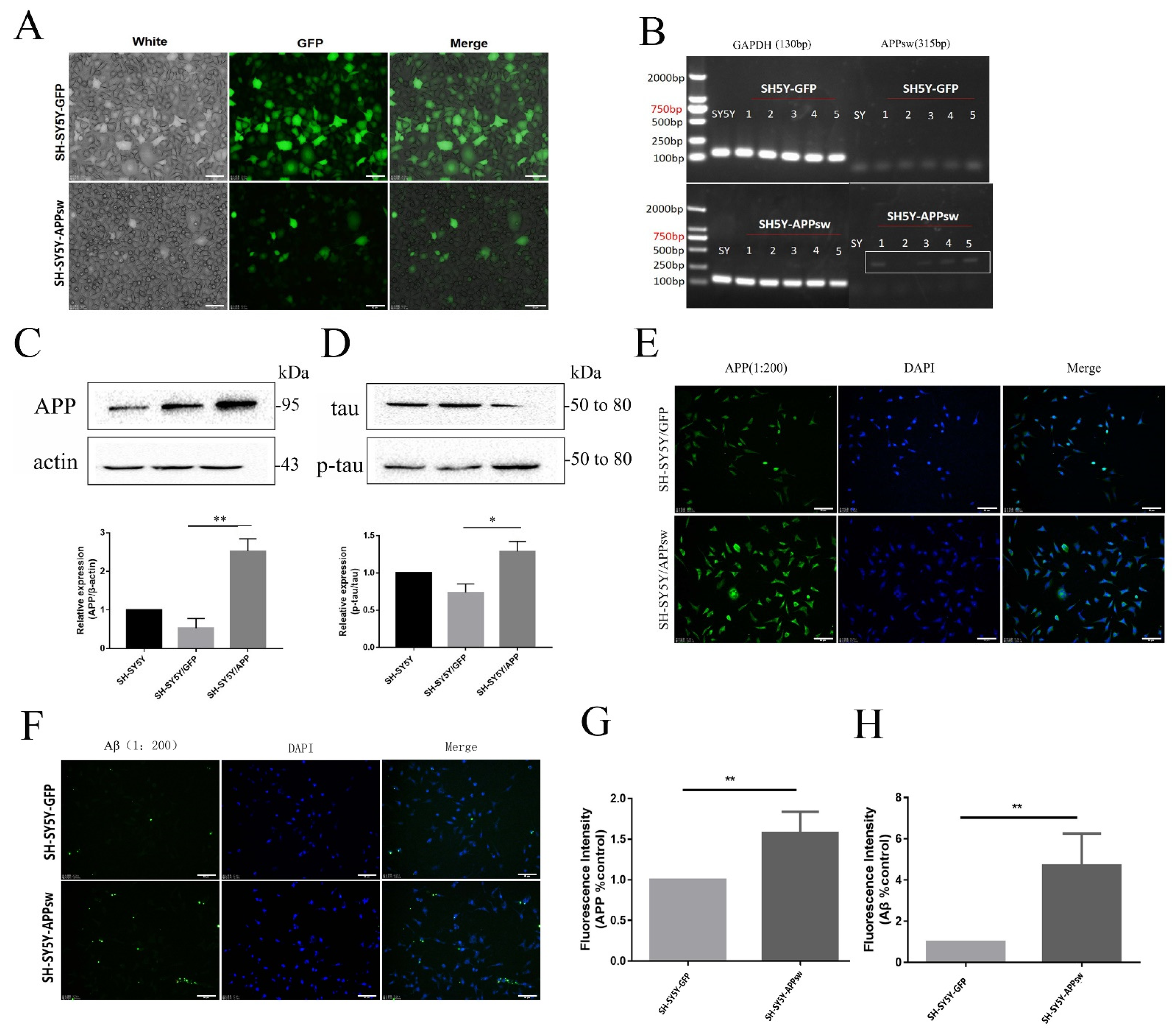 Molecules 27 04160 g001