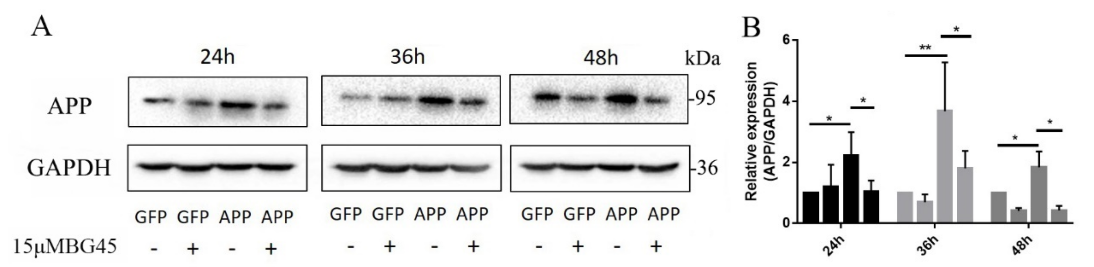 Molecules 27 04160 g004