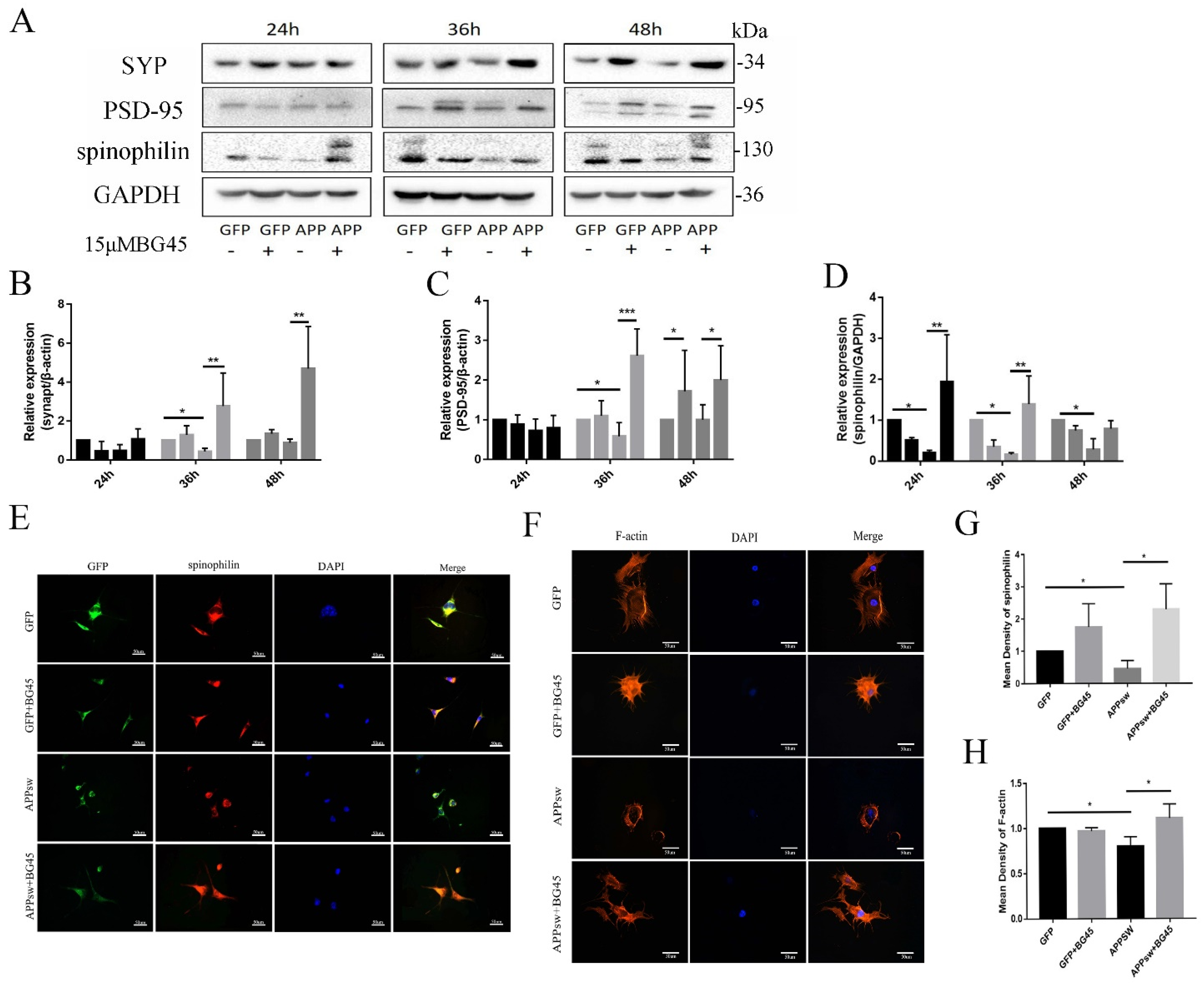 Molecules 27 04160 g005