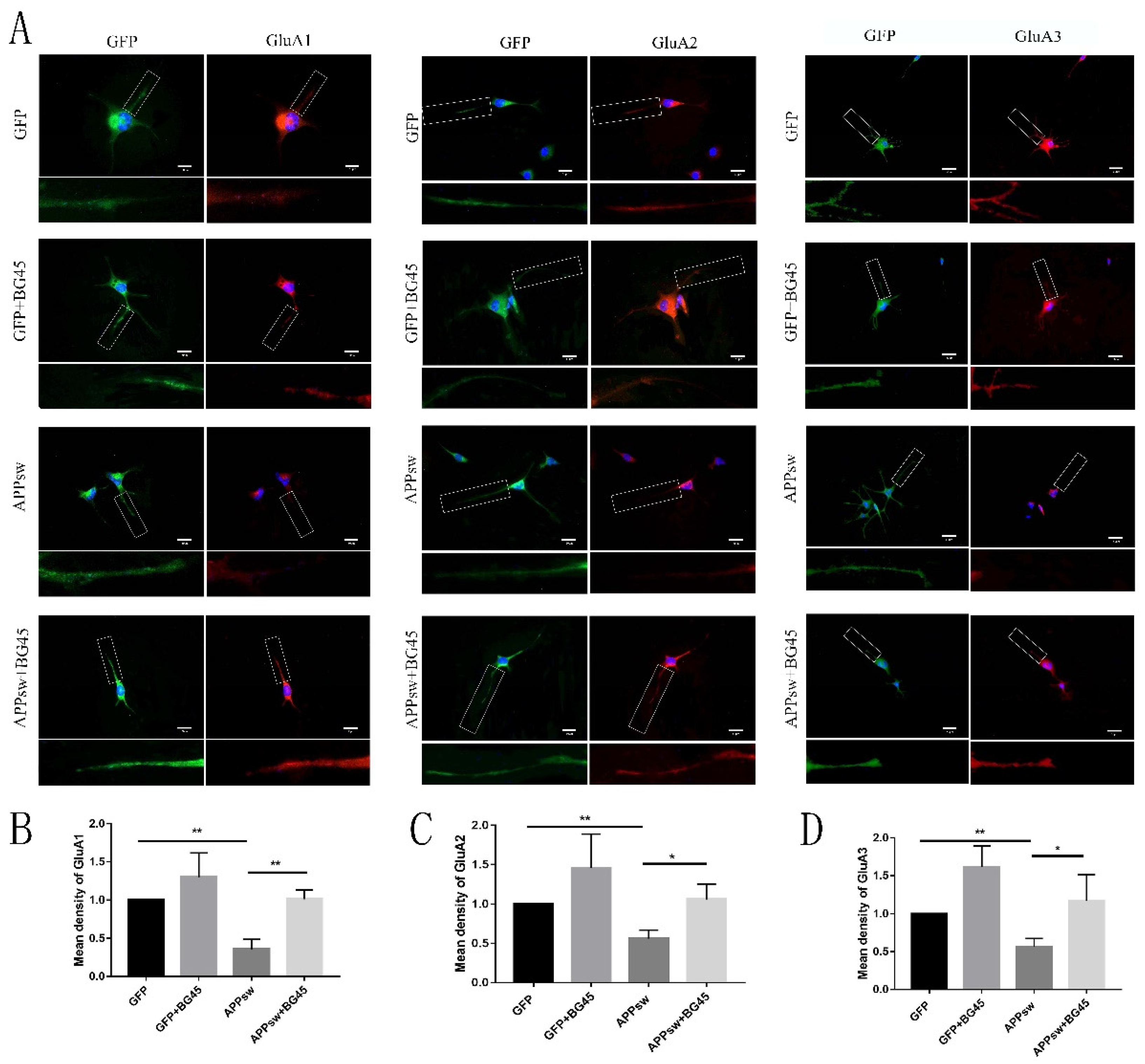 Molecules 27 04160 g006