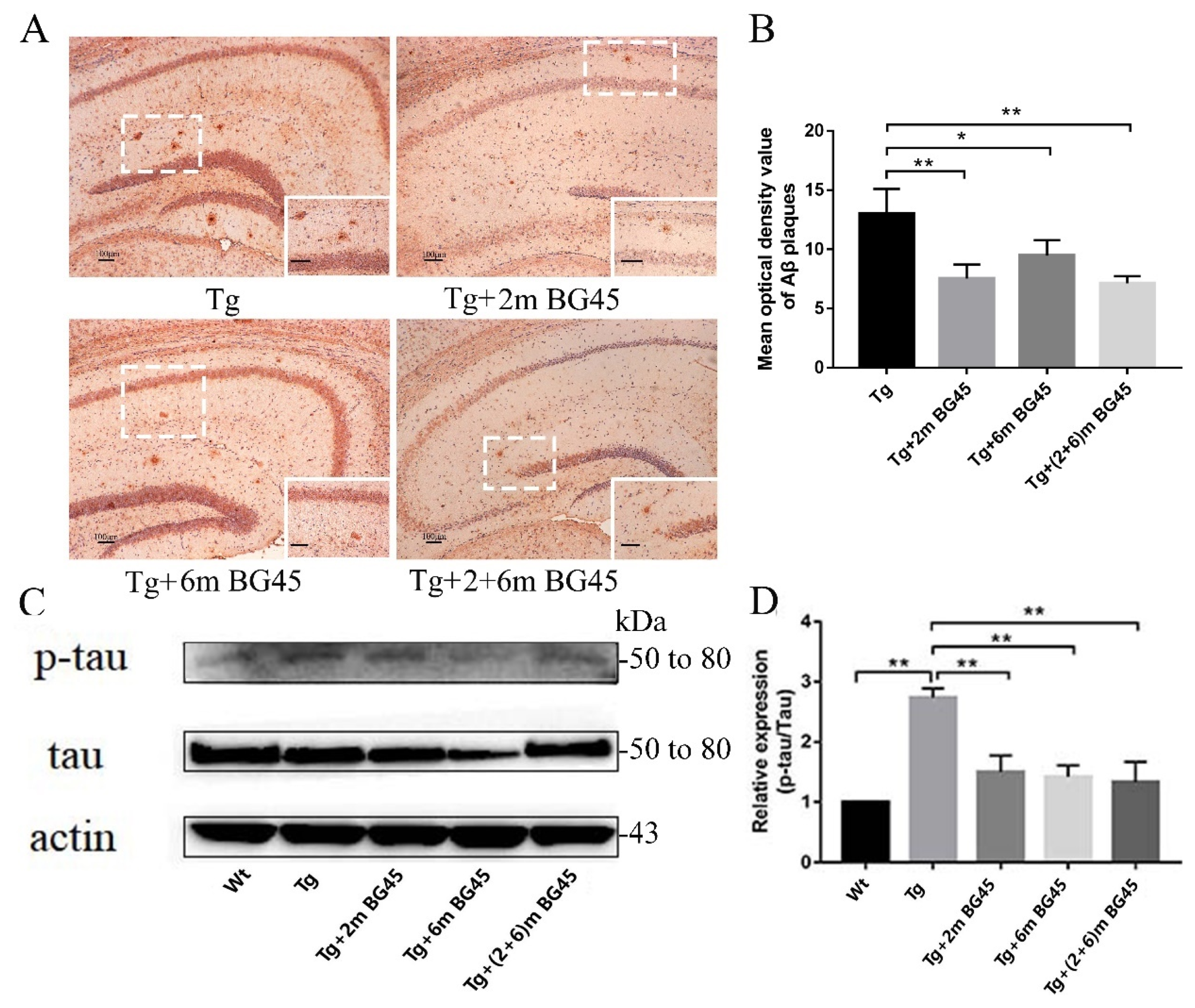 Molecules 27 04160 g008