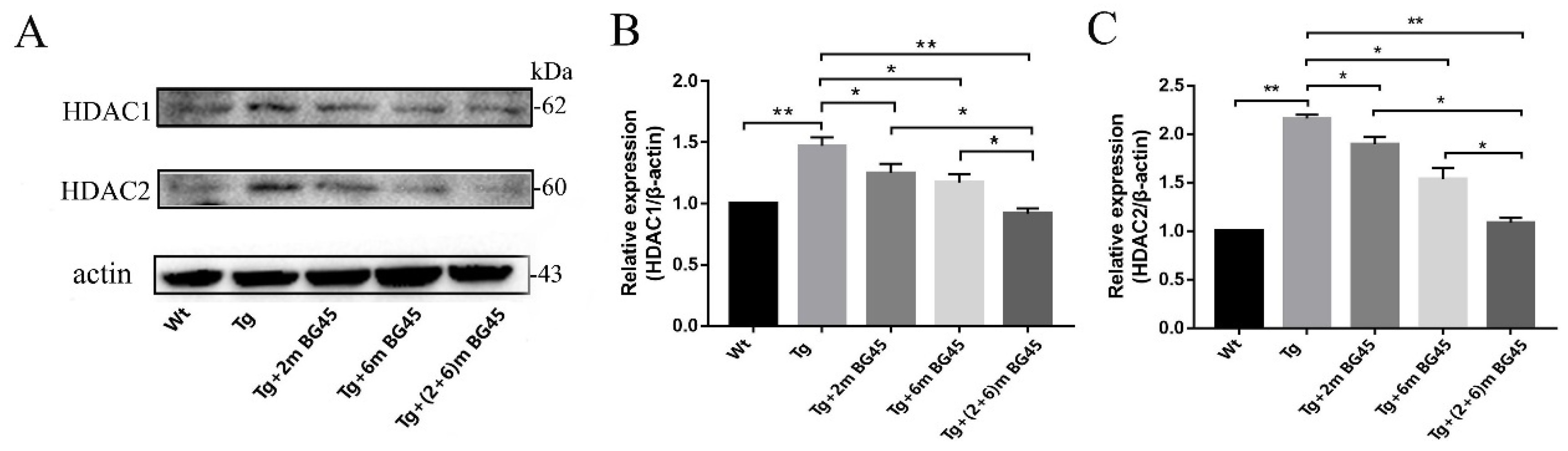 Molecules 27 04160 g009