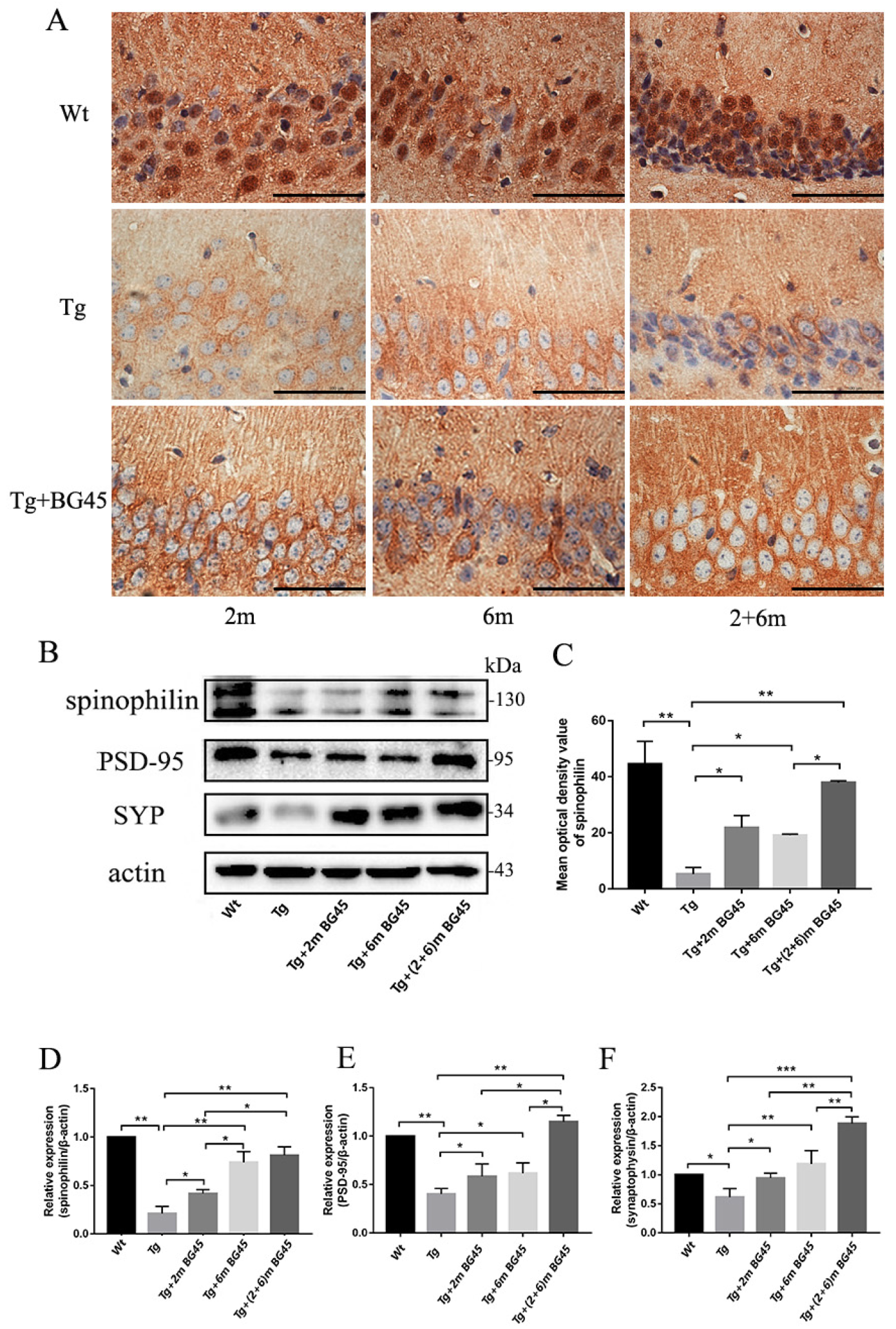 Molecules 27 04160 g010
