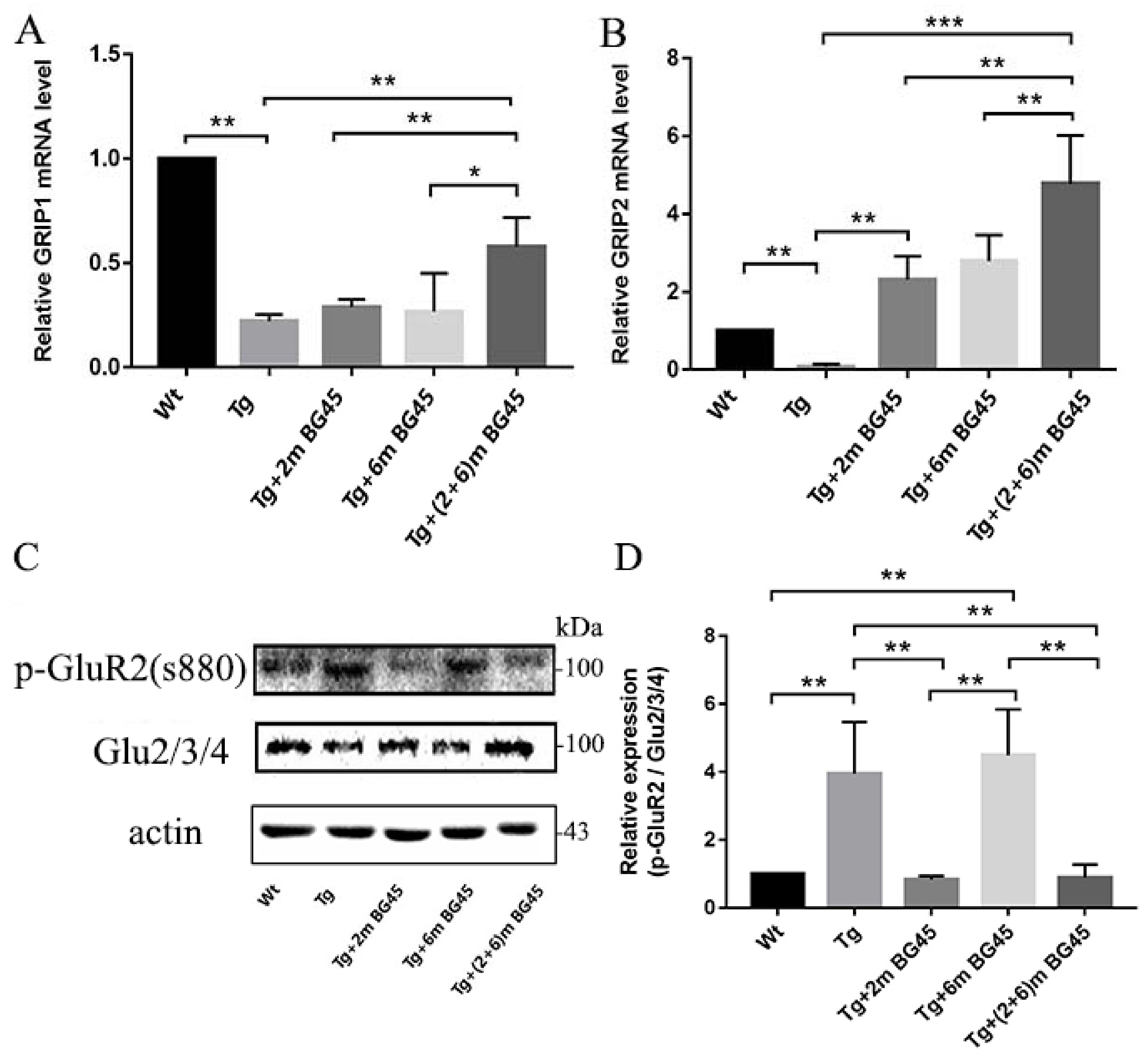 Molecules 27 04160 g012