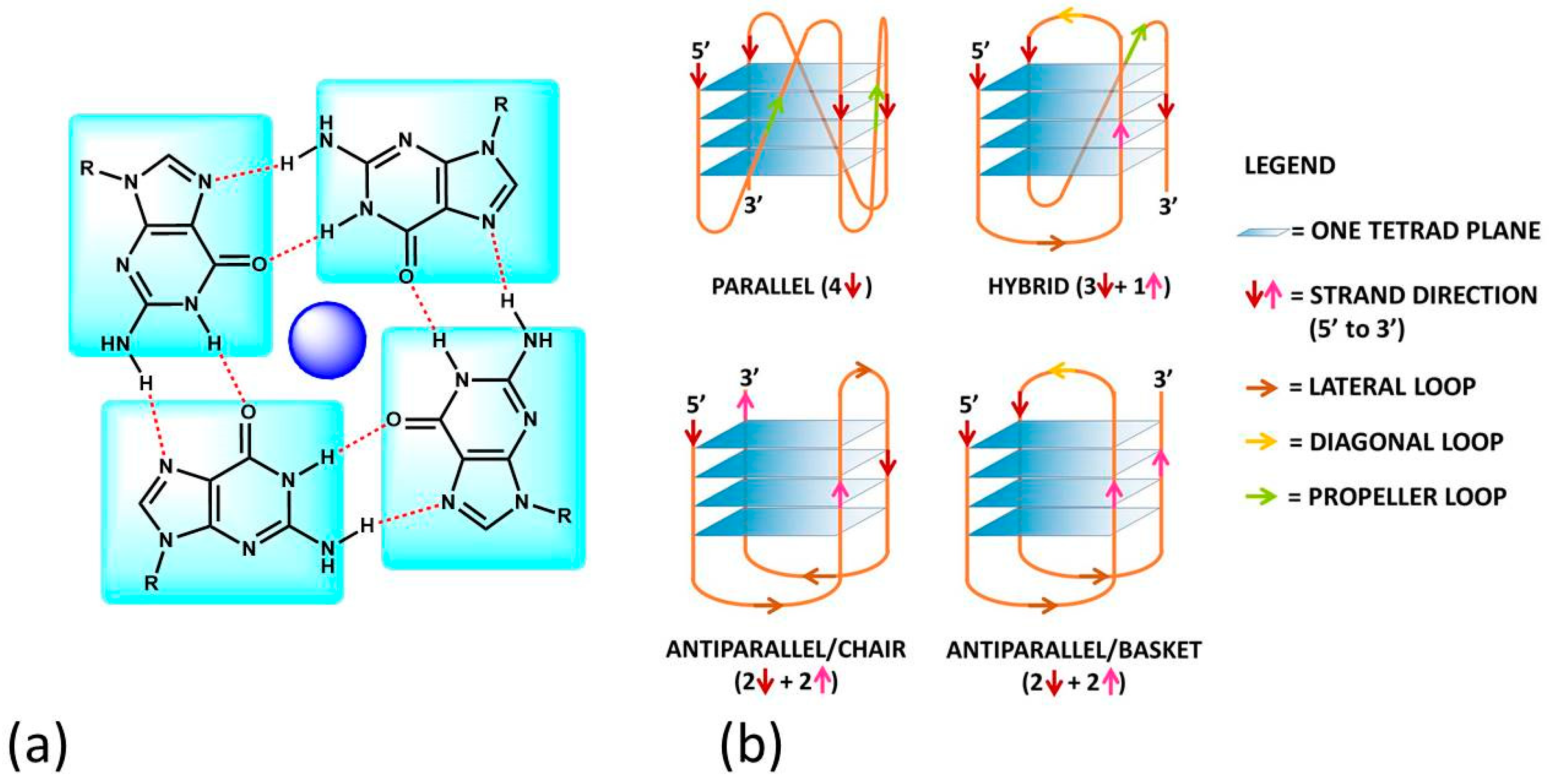 Molecules 27 04165 g001 Molecules 27 04165 g001