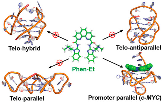Molecules 27 04165 g005