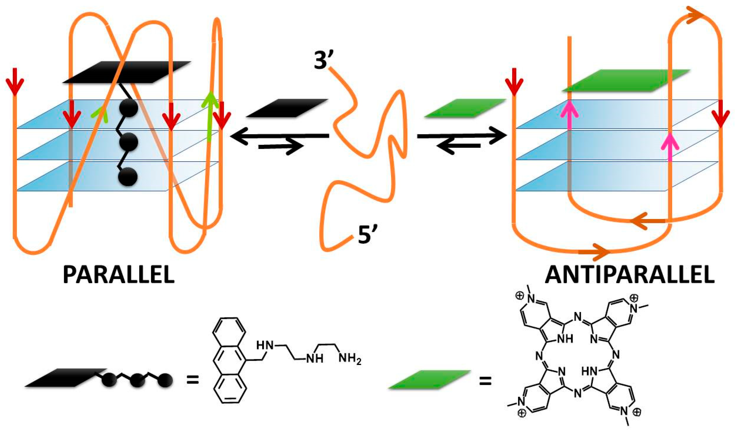 Molecules 27 04165 g009 Molecules 27 04165 g009