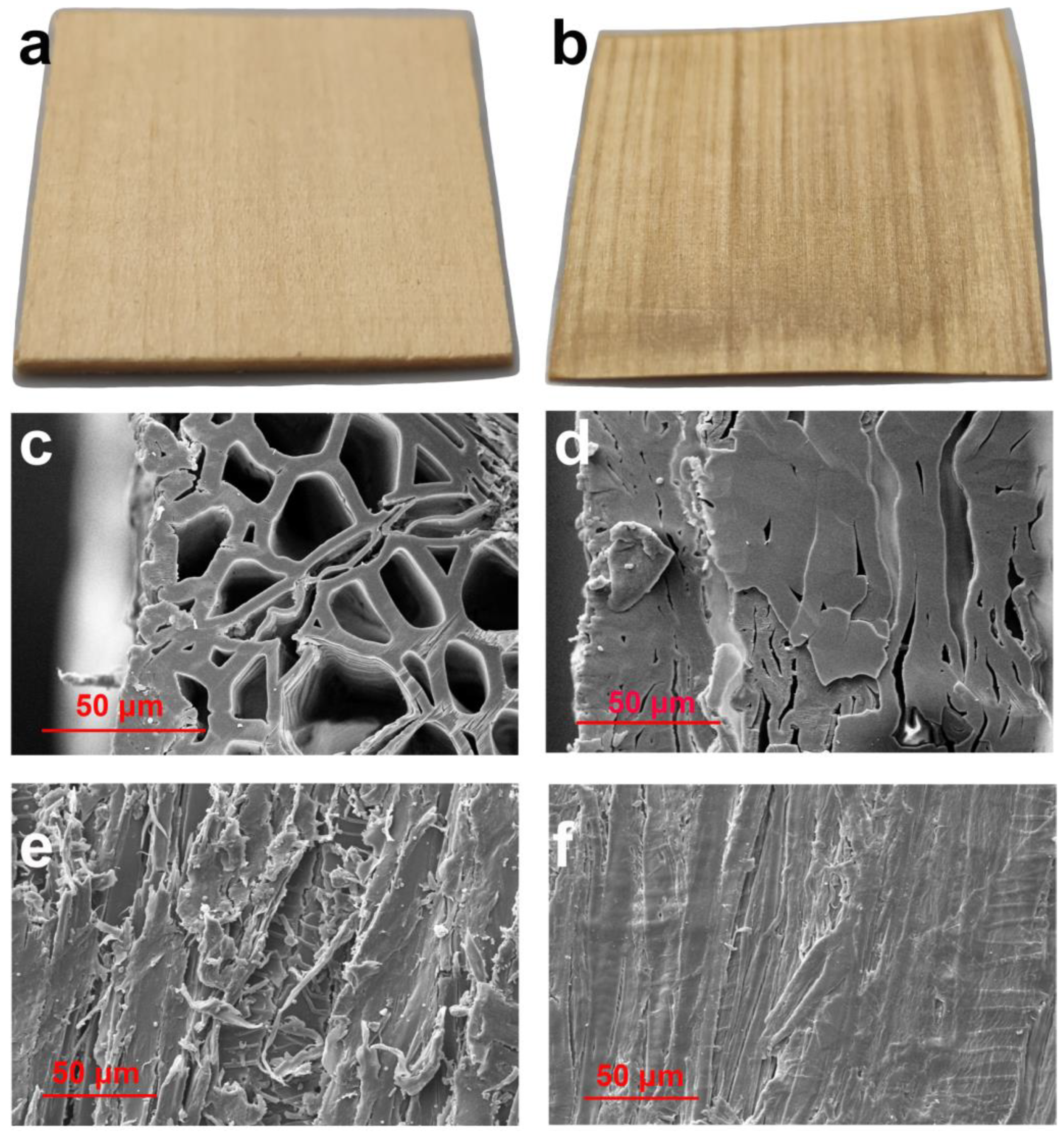 Molecules 27 04167 g002