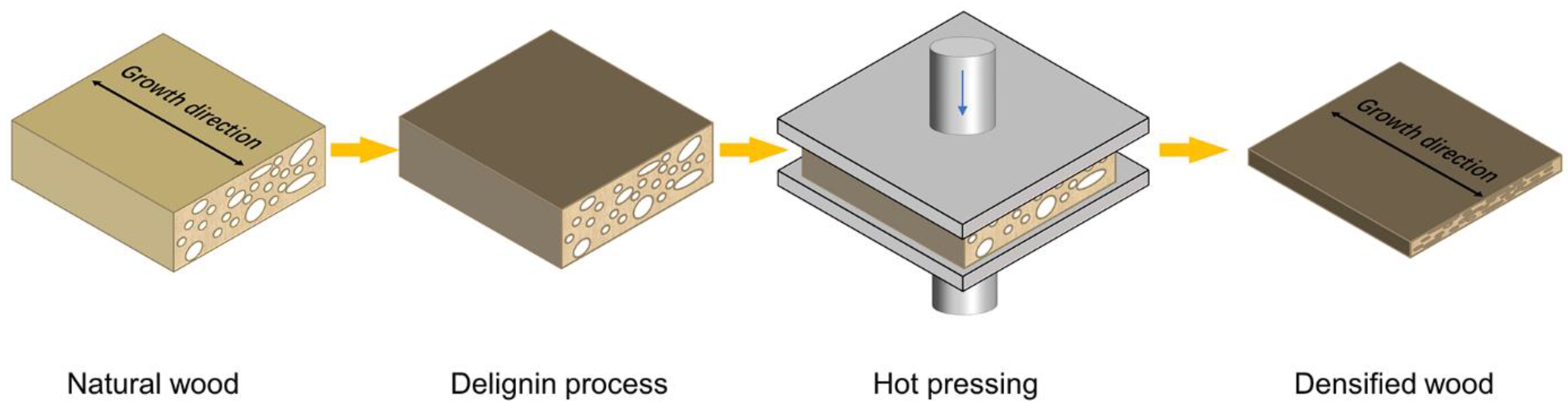 Molecules 27 04167 g007
