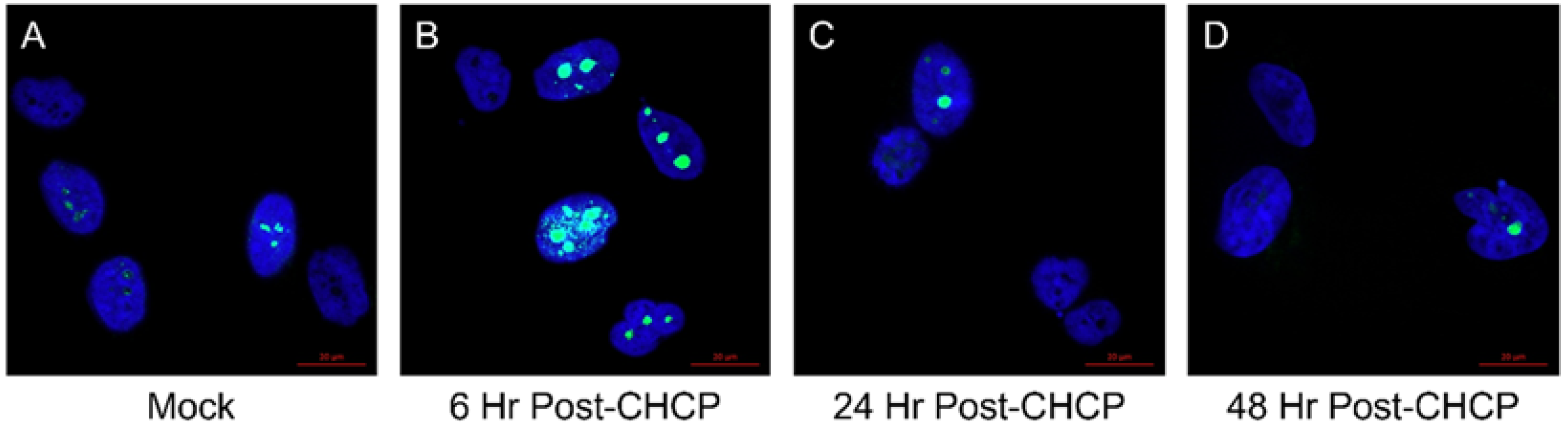 Molecules 27 04168 g003
