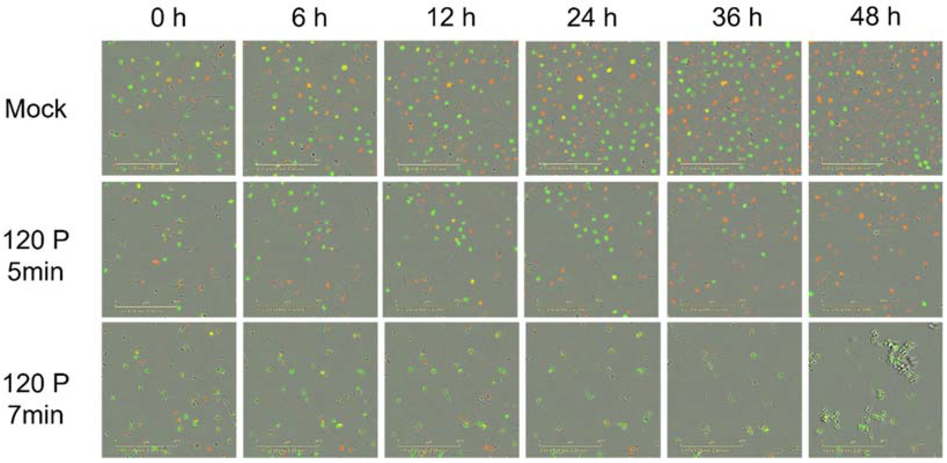 Molecules 27 04168 g004