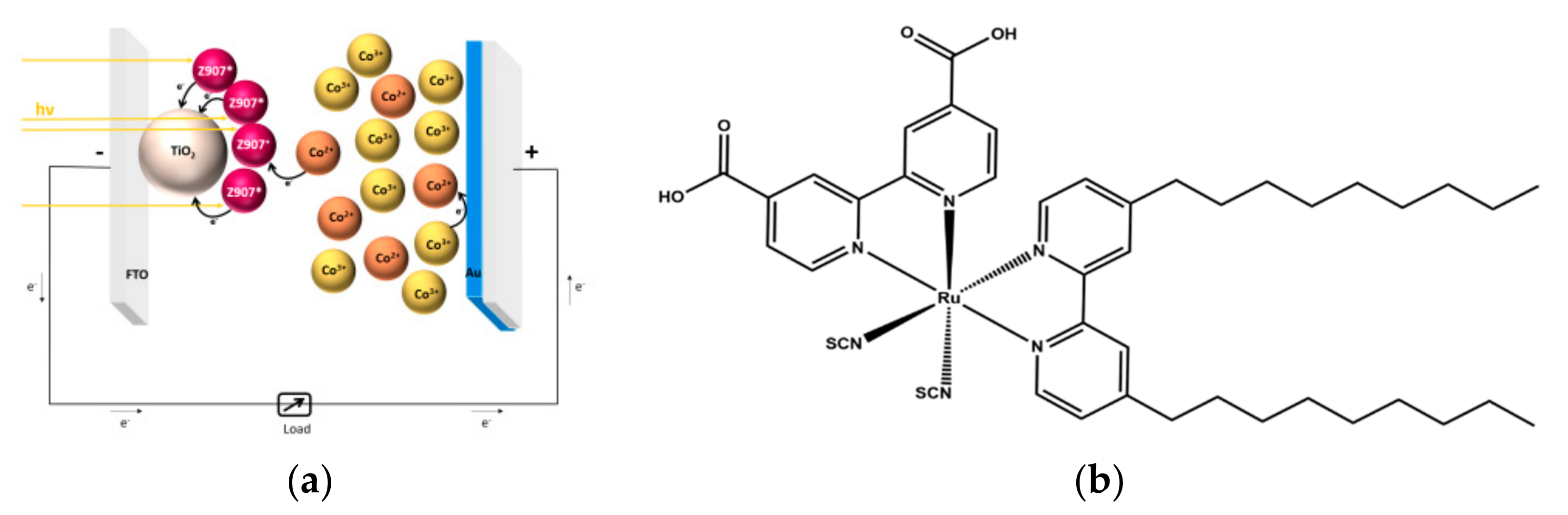 Molecules 27 04178 g001