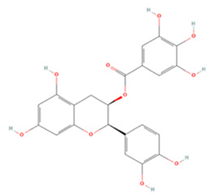 Molecules 27 04181 i017