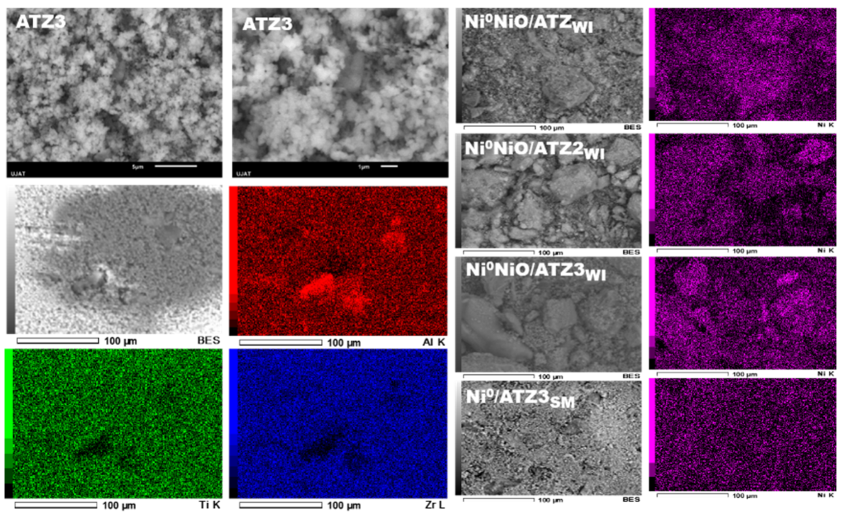Molecules 27 04187 g009