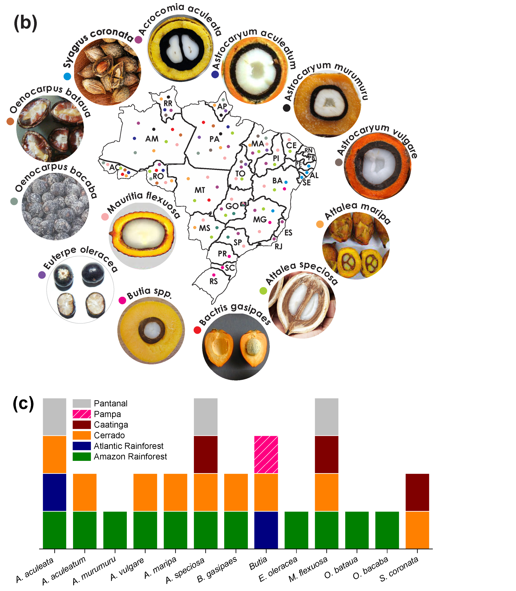 Molecules 27 04188 g006b