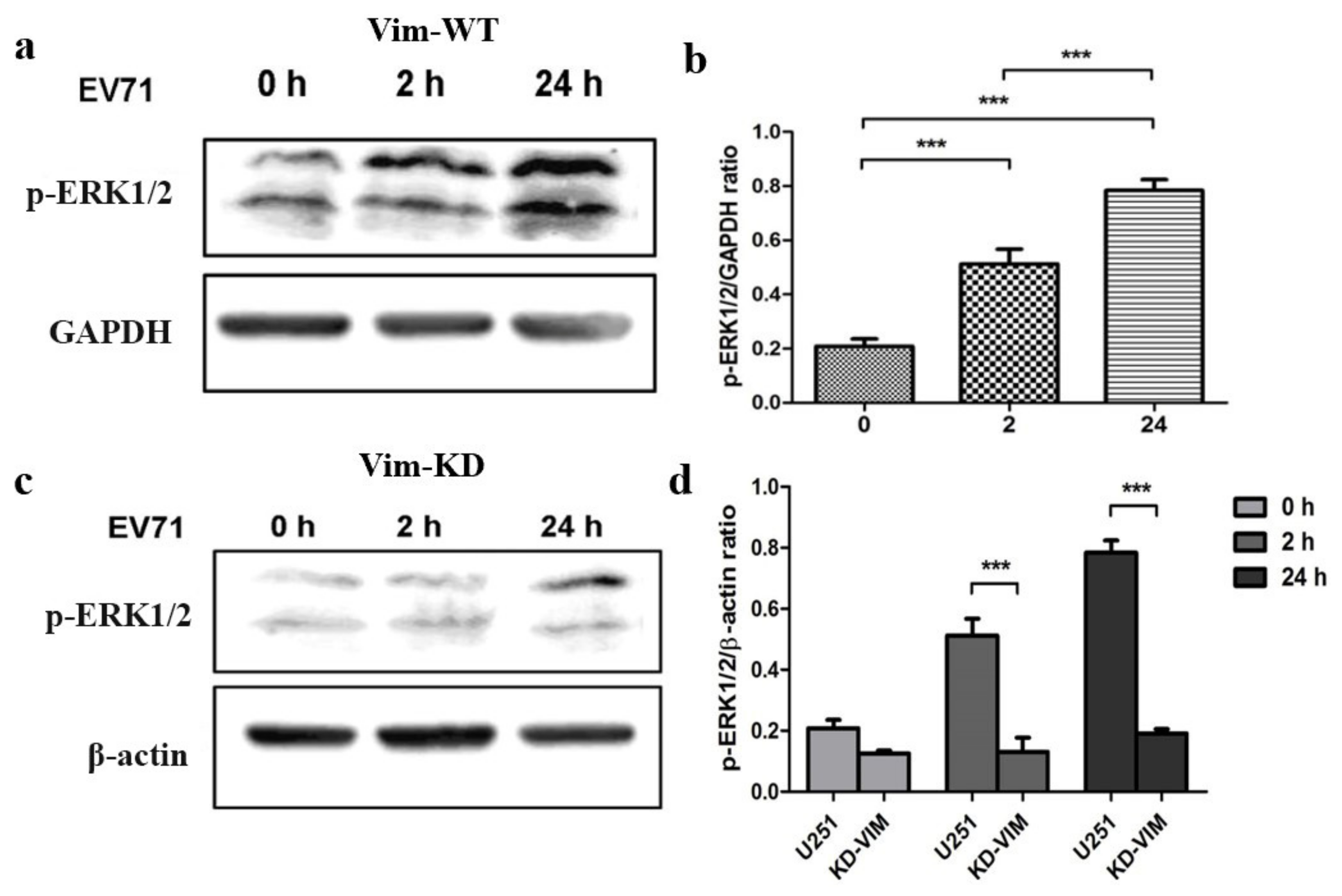 Molecules 27 04190 g001