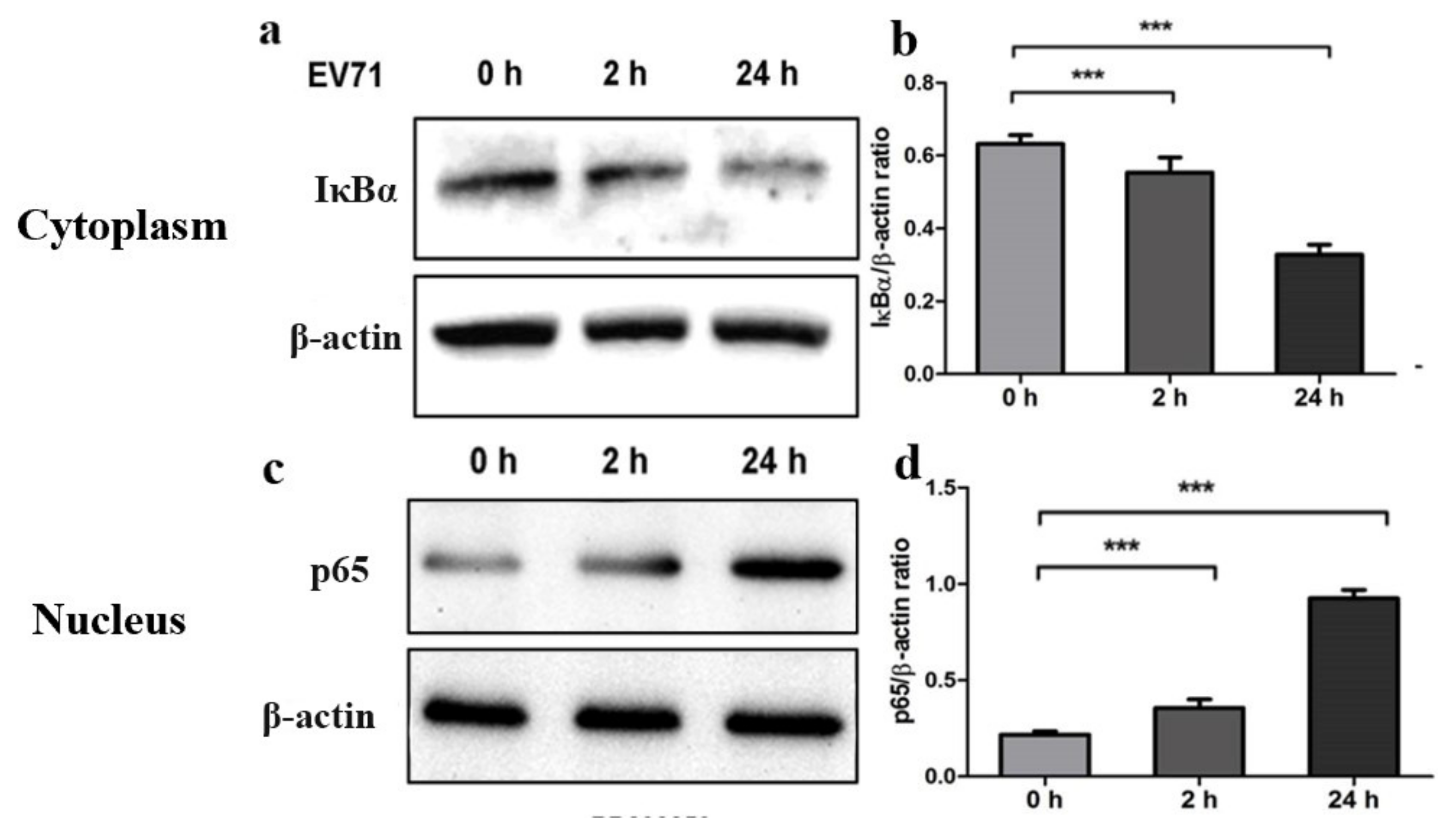 Molecules 27 04190 g002
