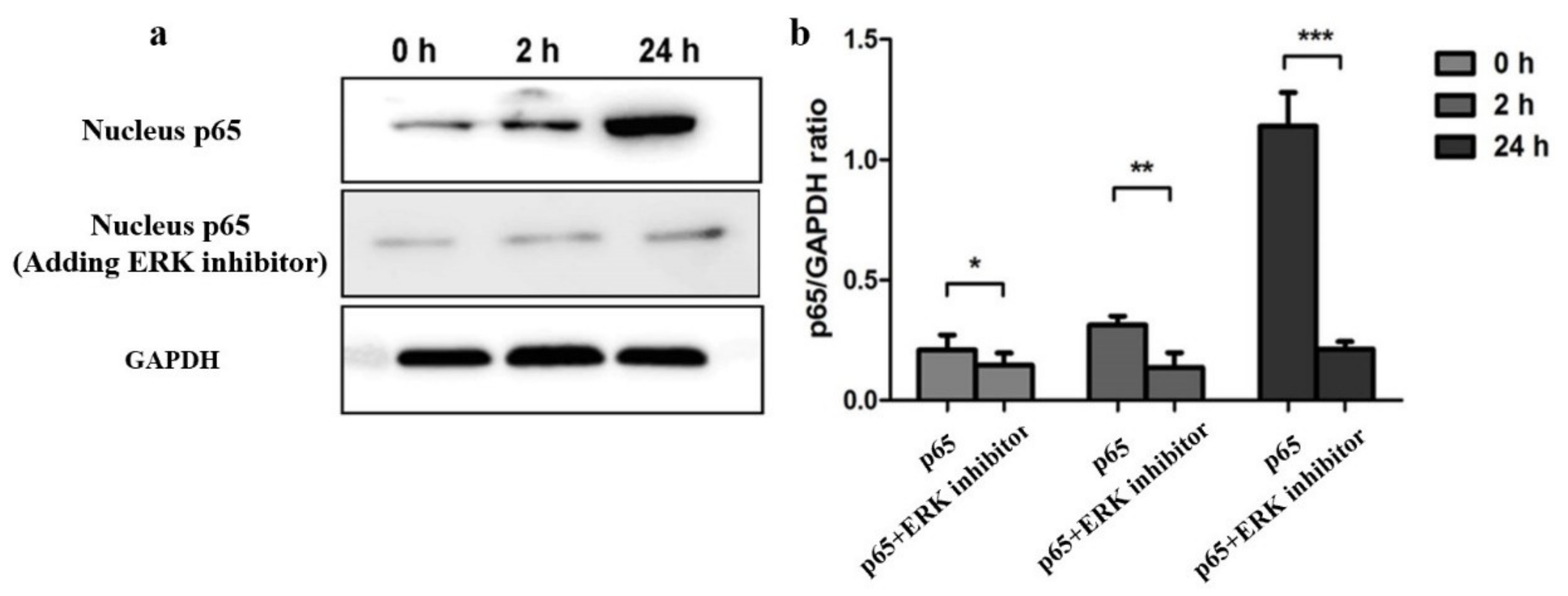 Molecules 27 04190 g003