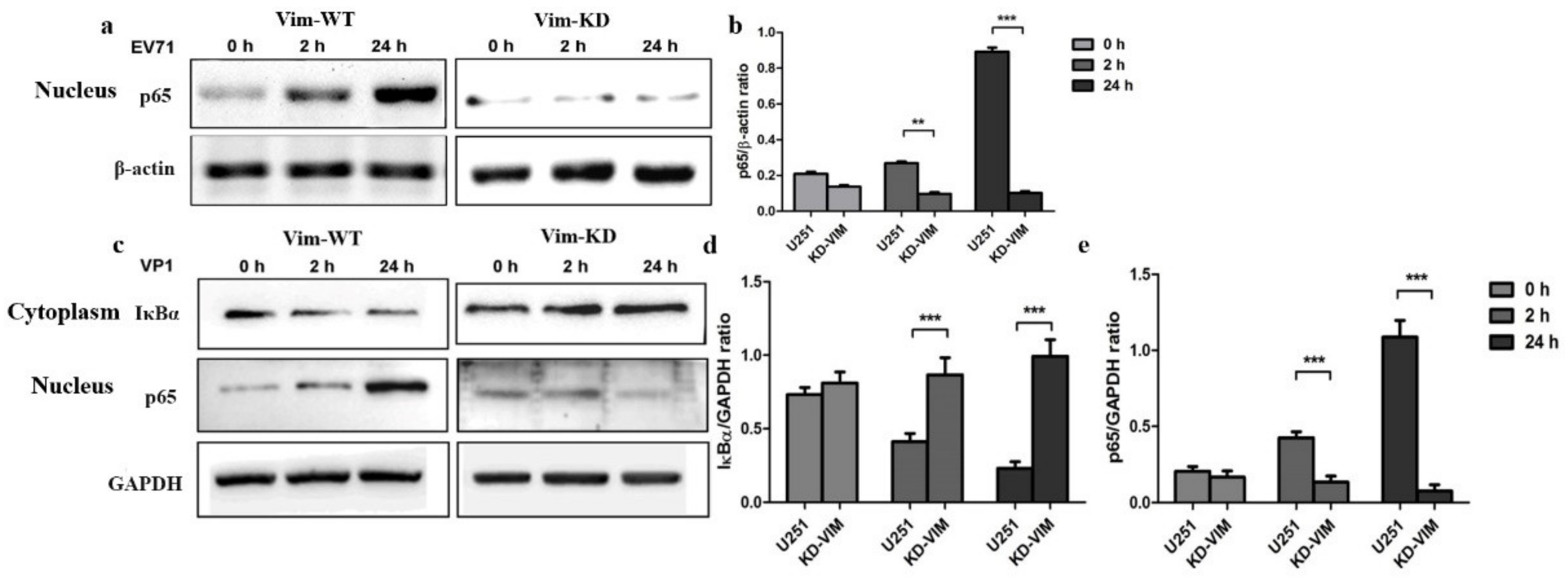 Molecules 27 04190 g004