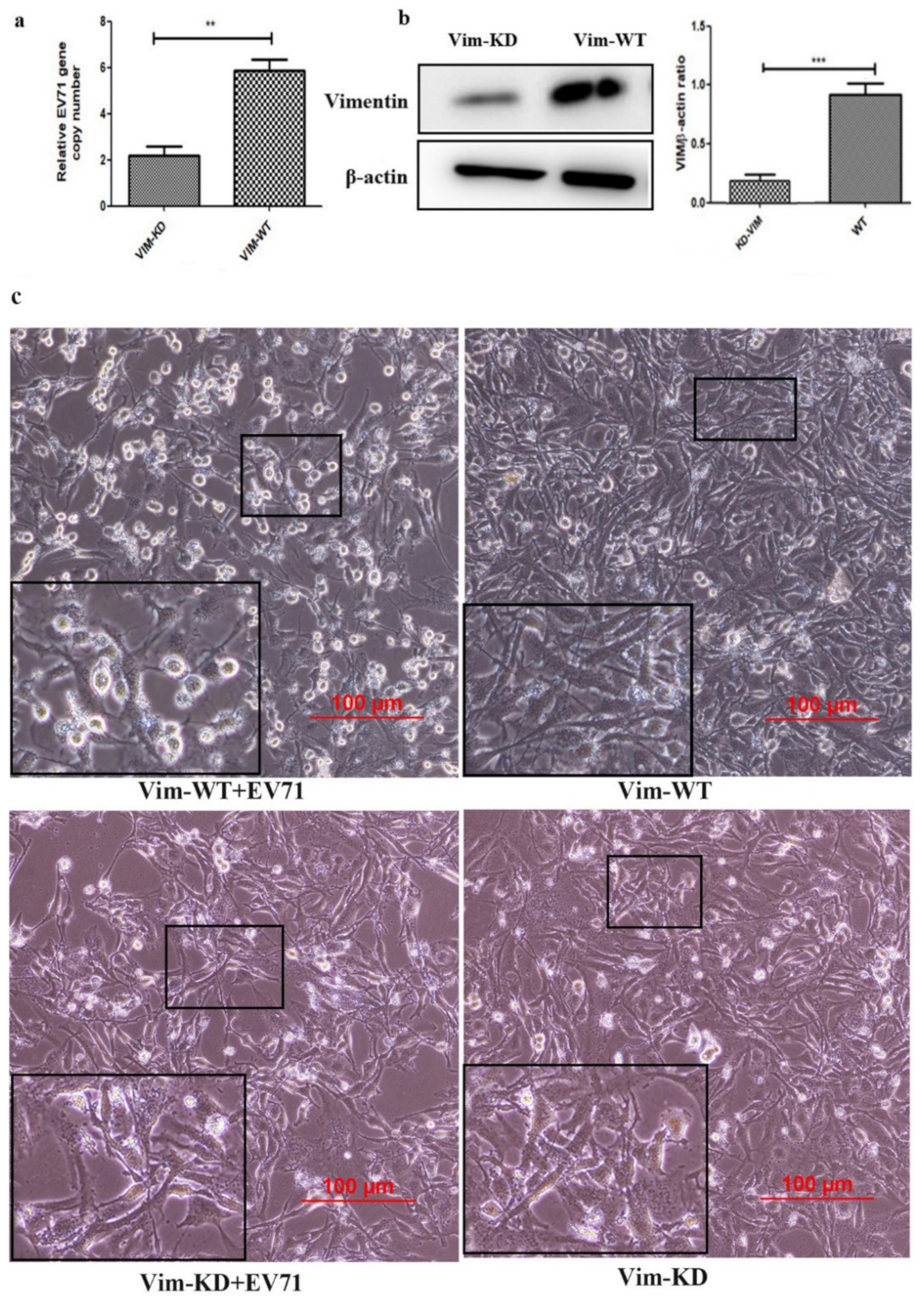 Molecules 27 04190 g006