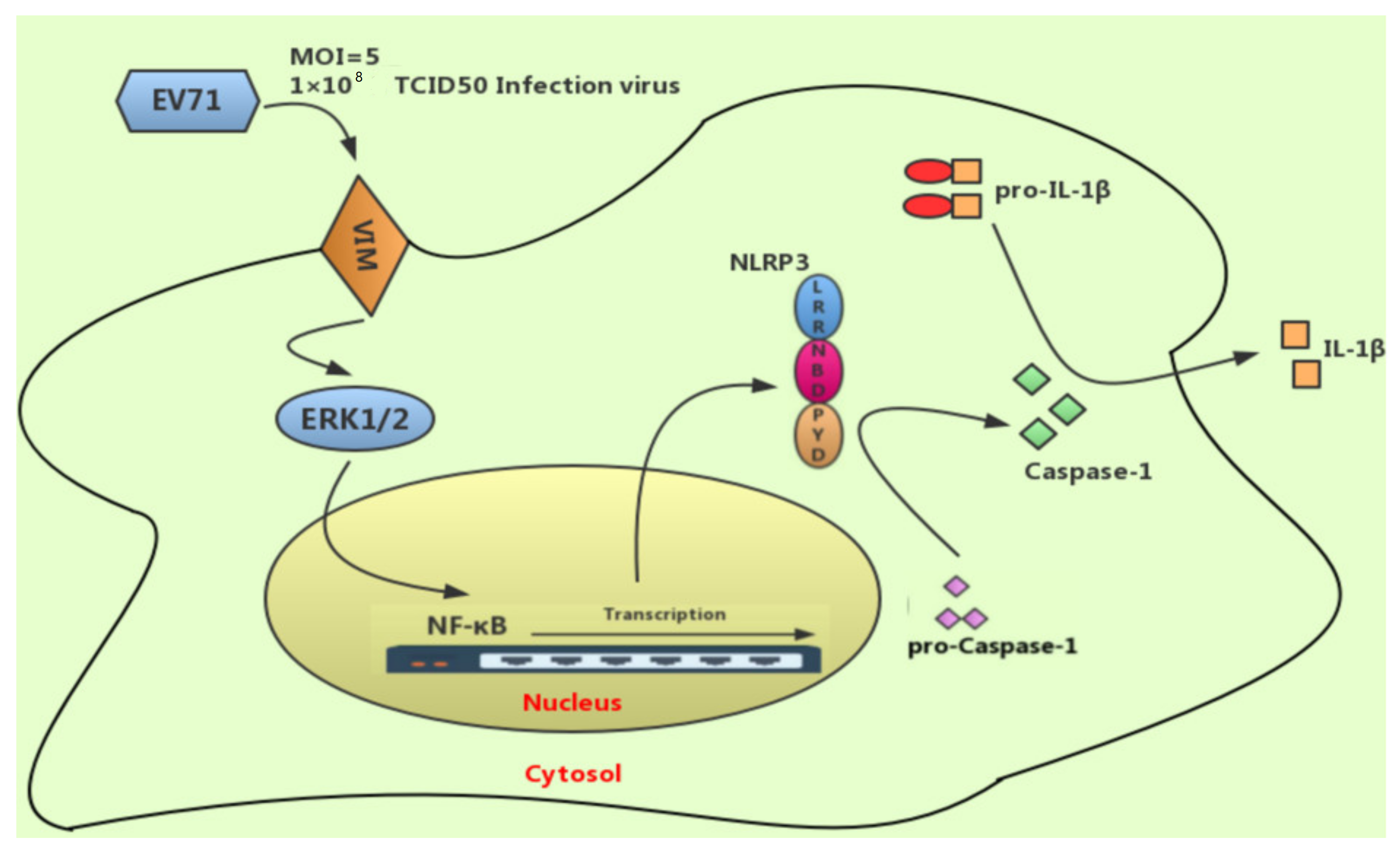 Molecules 27 04190 g007