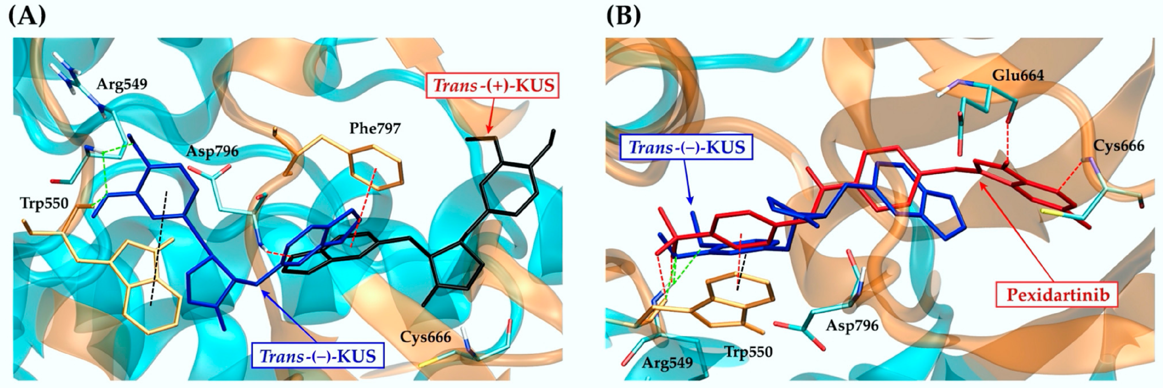 Molecules 27 04194 g006