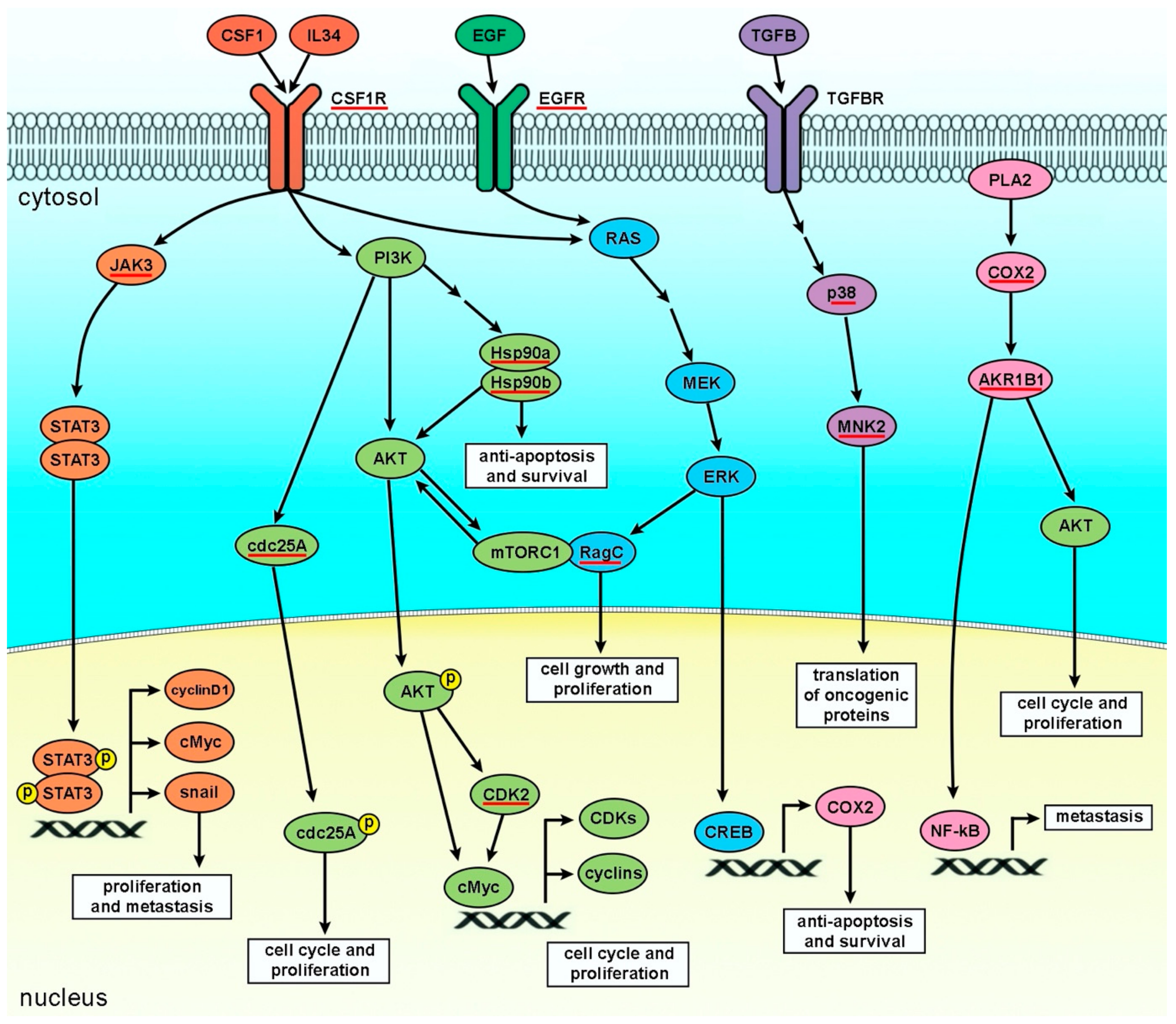 Molecules 27 04194 g011