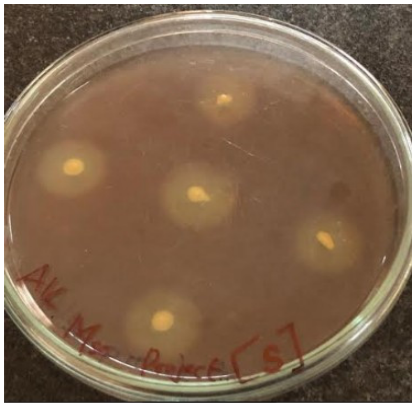 Molecules 27 04195 g001 Molecules 27 04195 g001