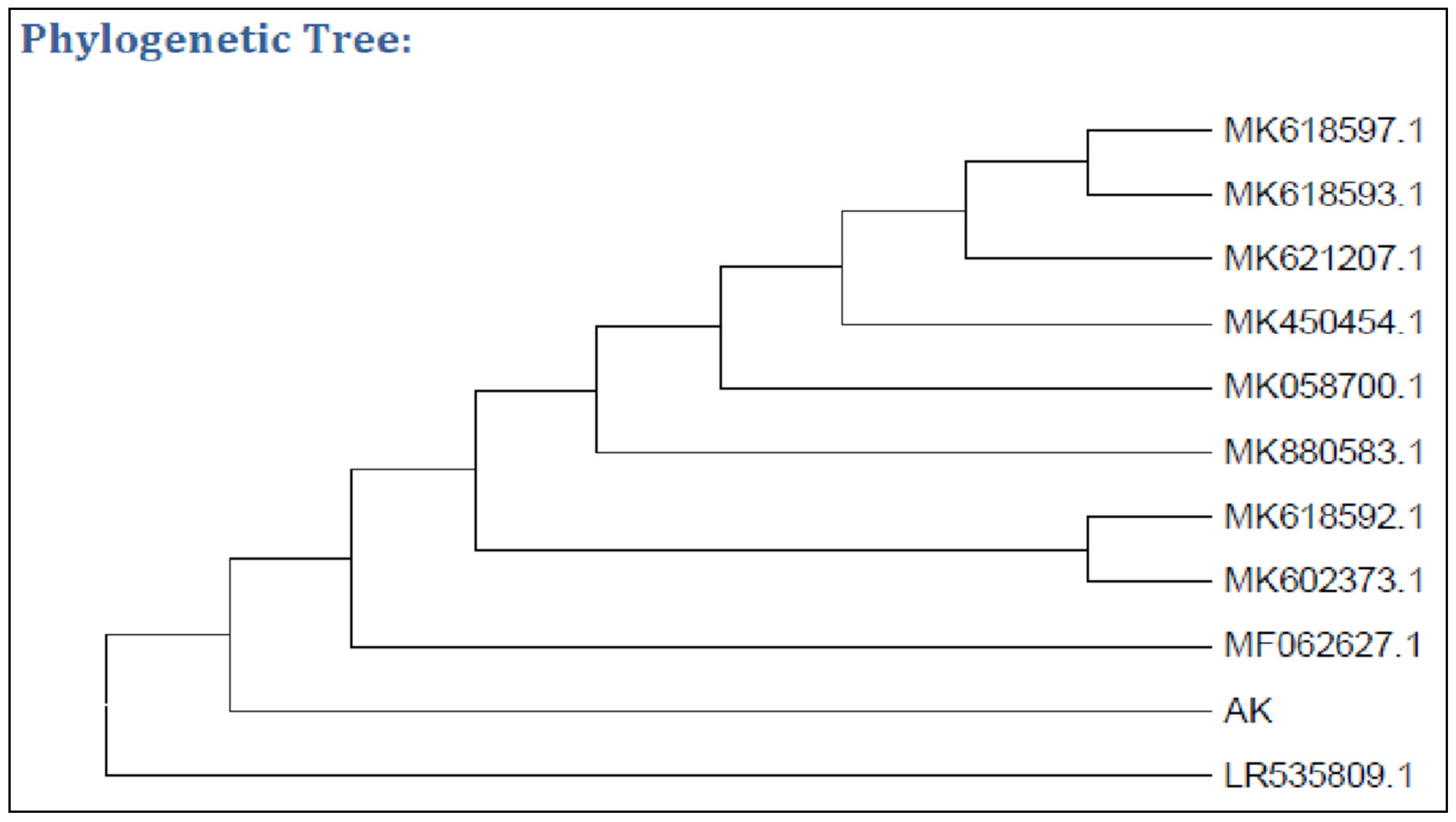 Molecules 27 04195 g002 Molecules 27 04195 g002