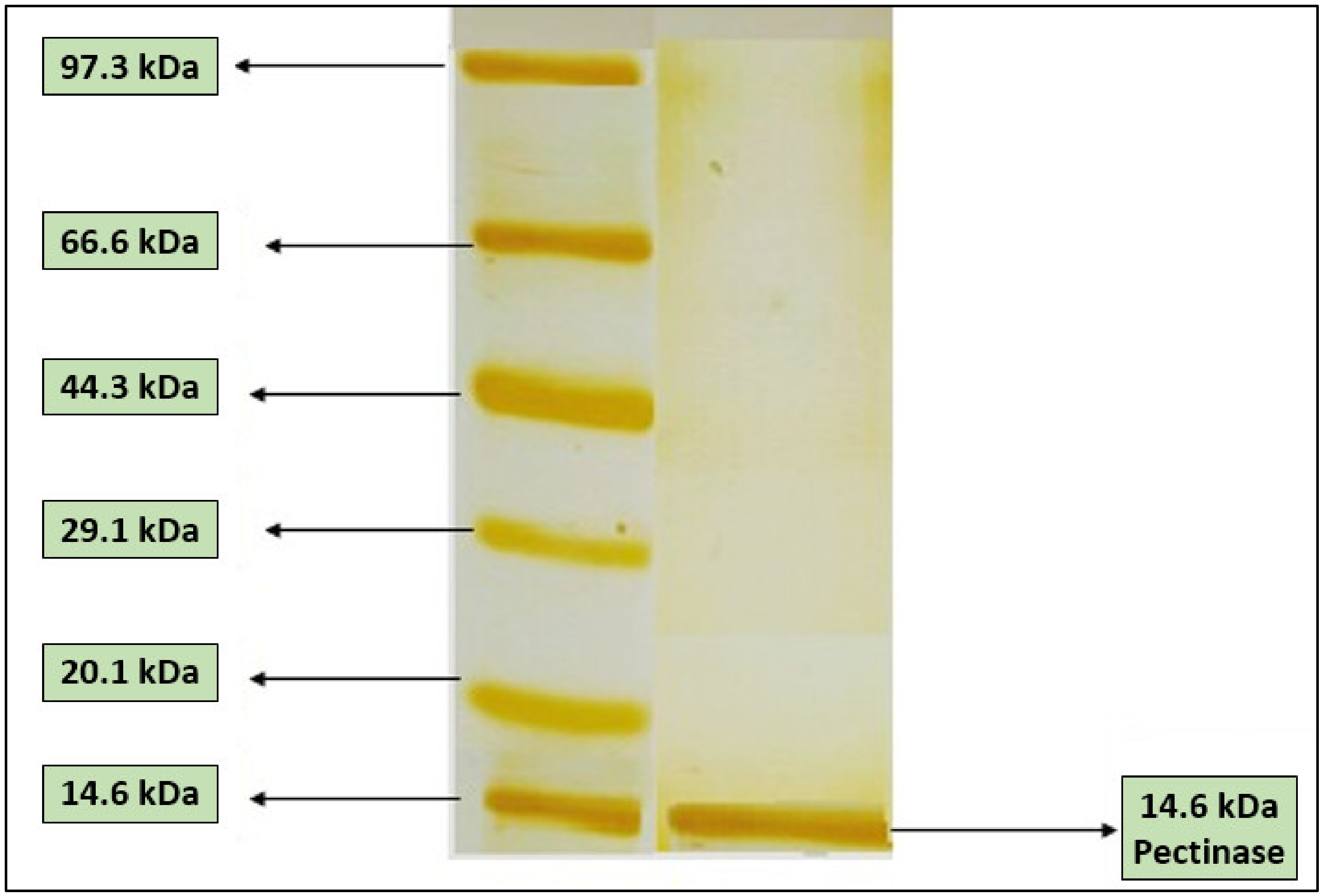 Molecules 27 04195 g003 Molecules 27 04195 g003