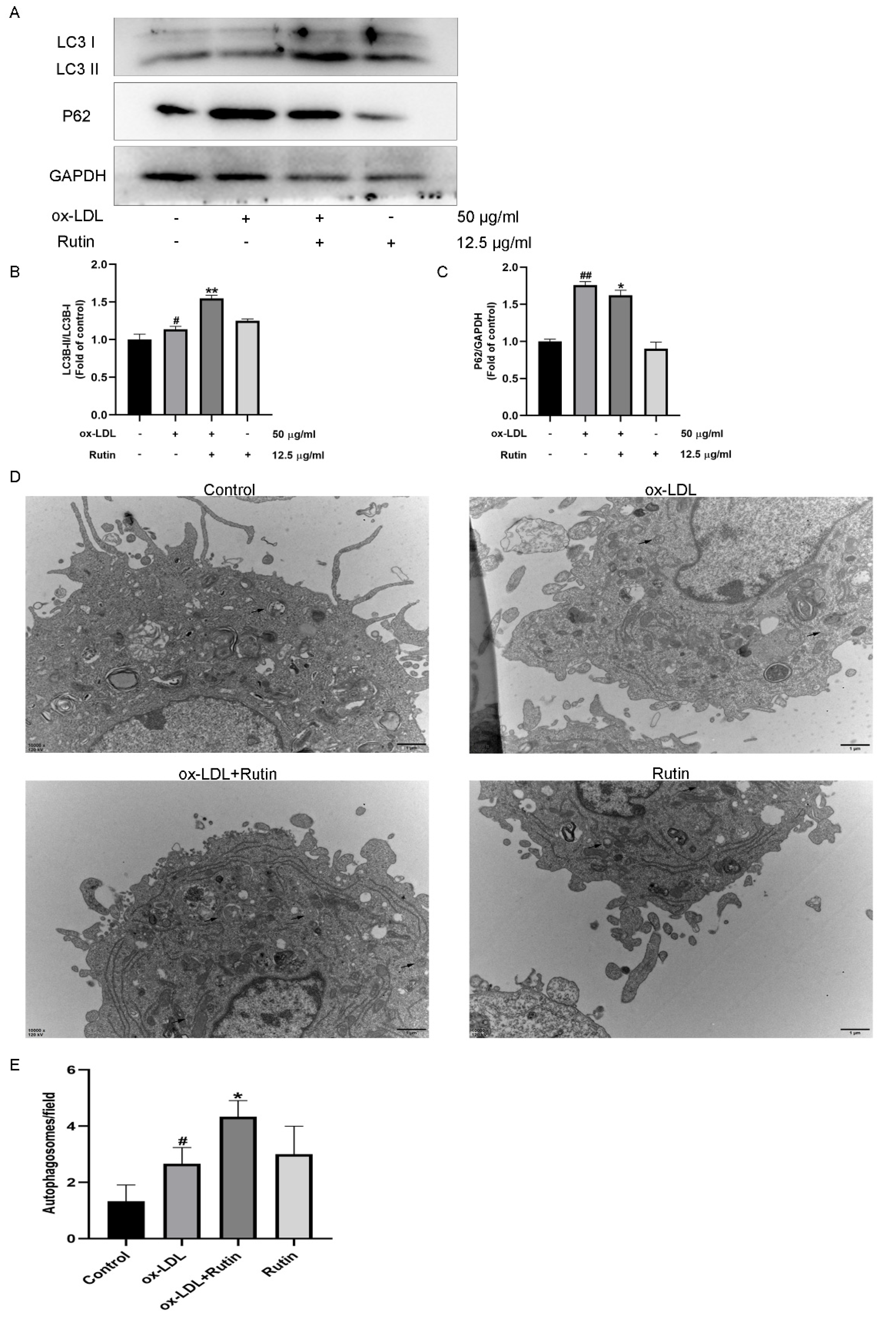 Molecules 27 04201 g003