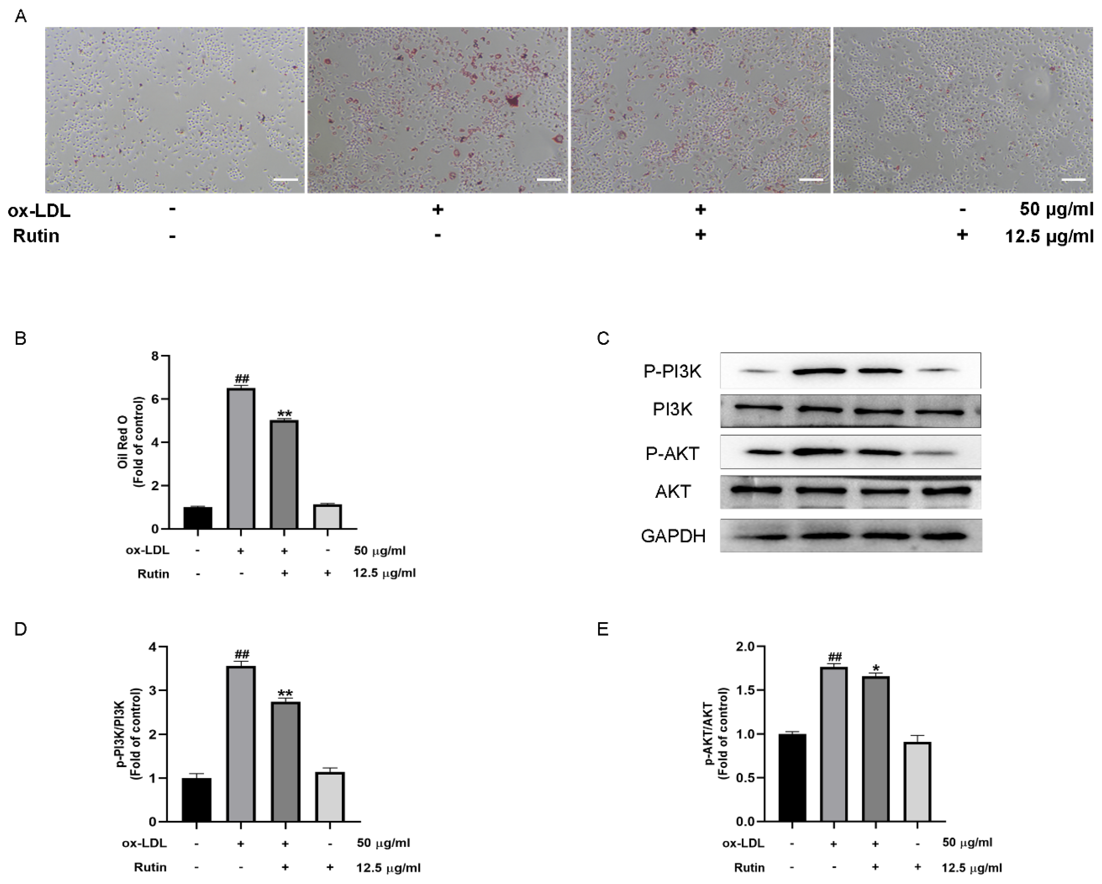 Molecules 27 04201 g004