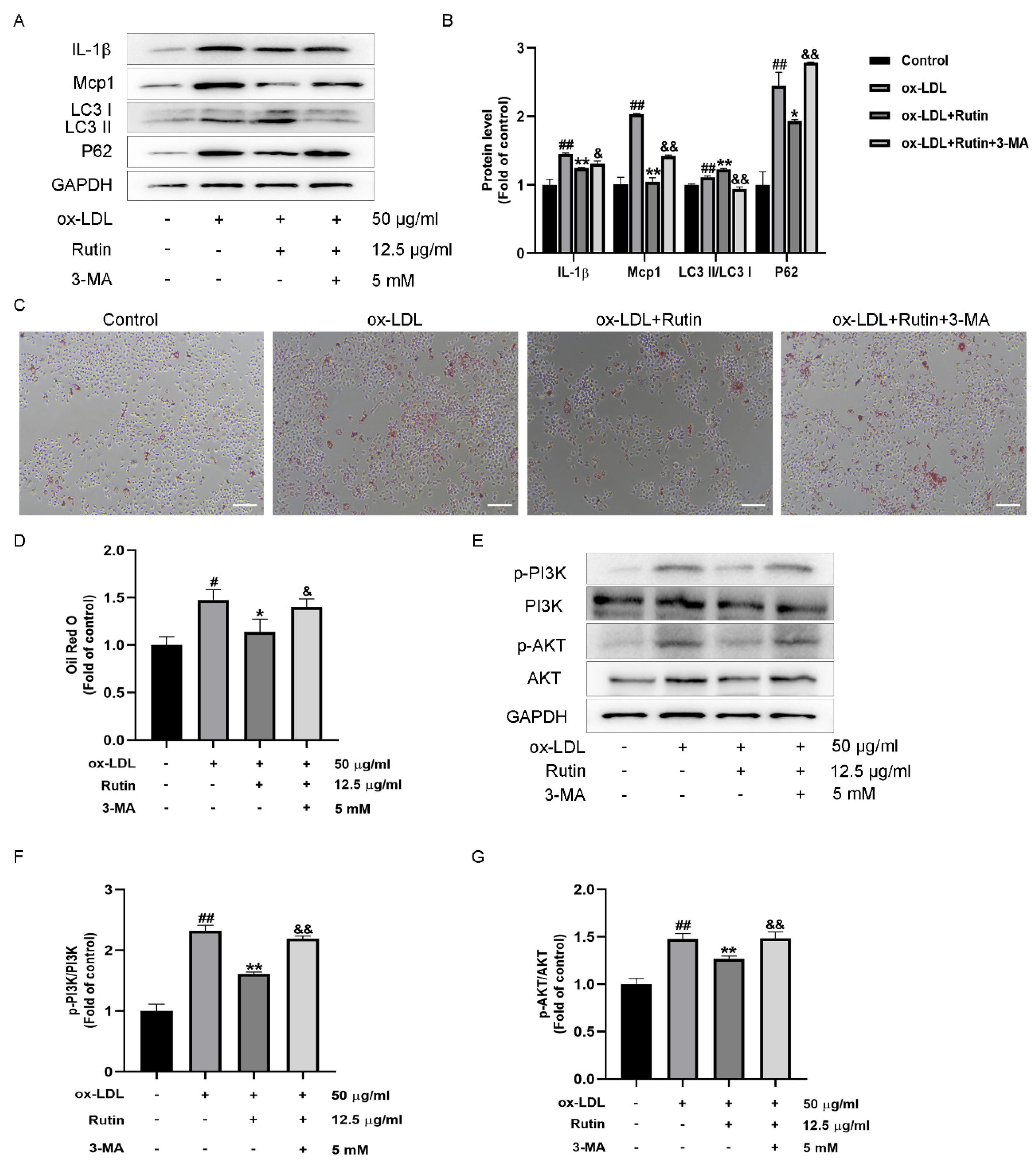 Molecules 27 04201 g005