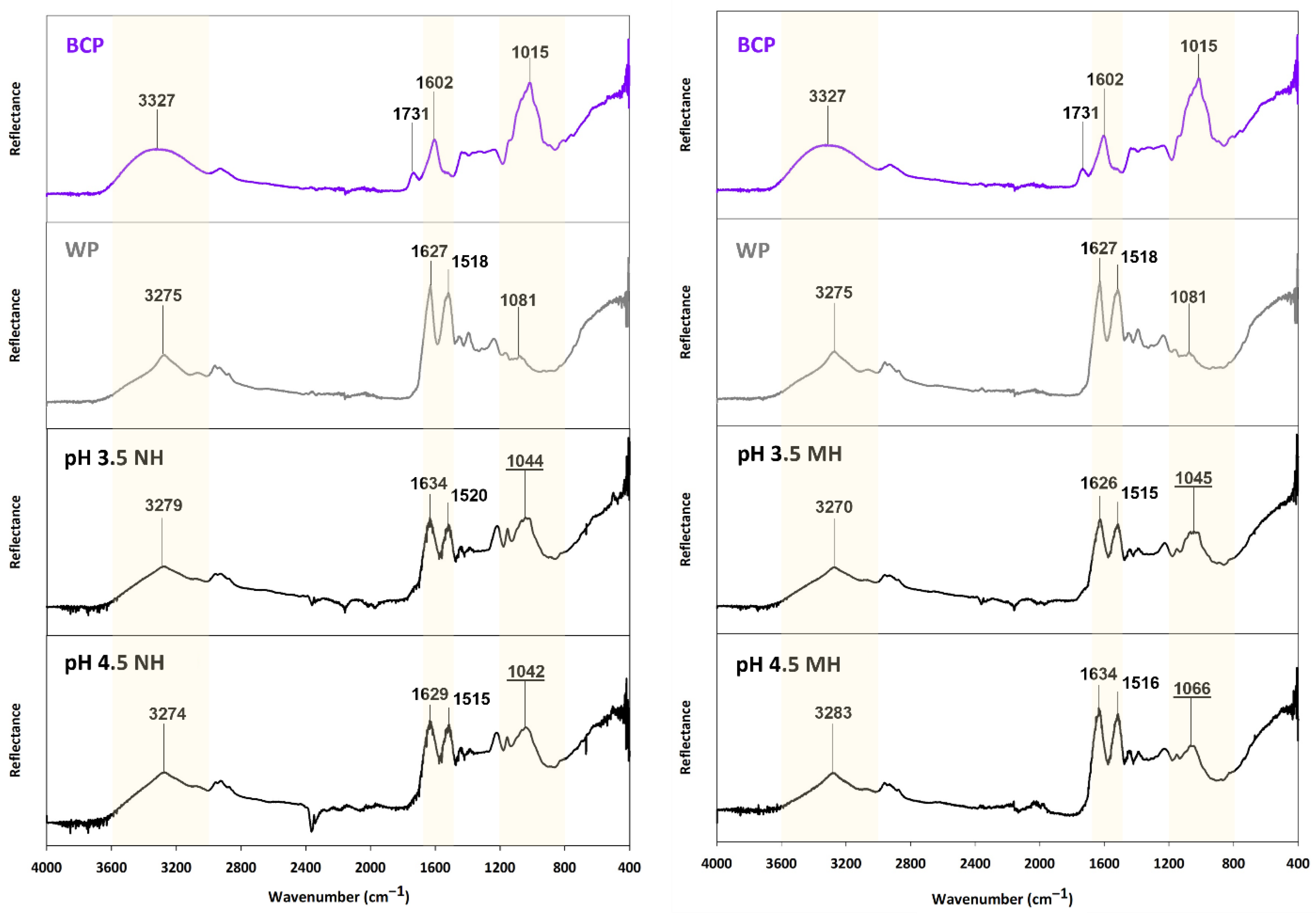 Molecules 27 04202 g010