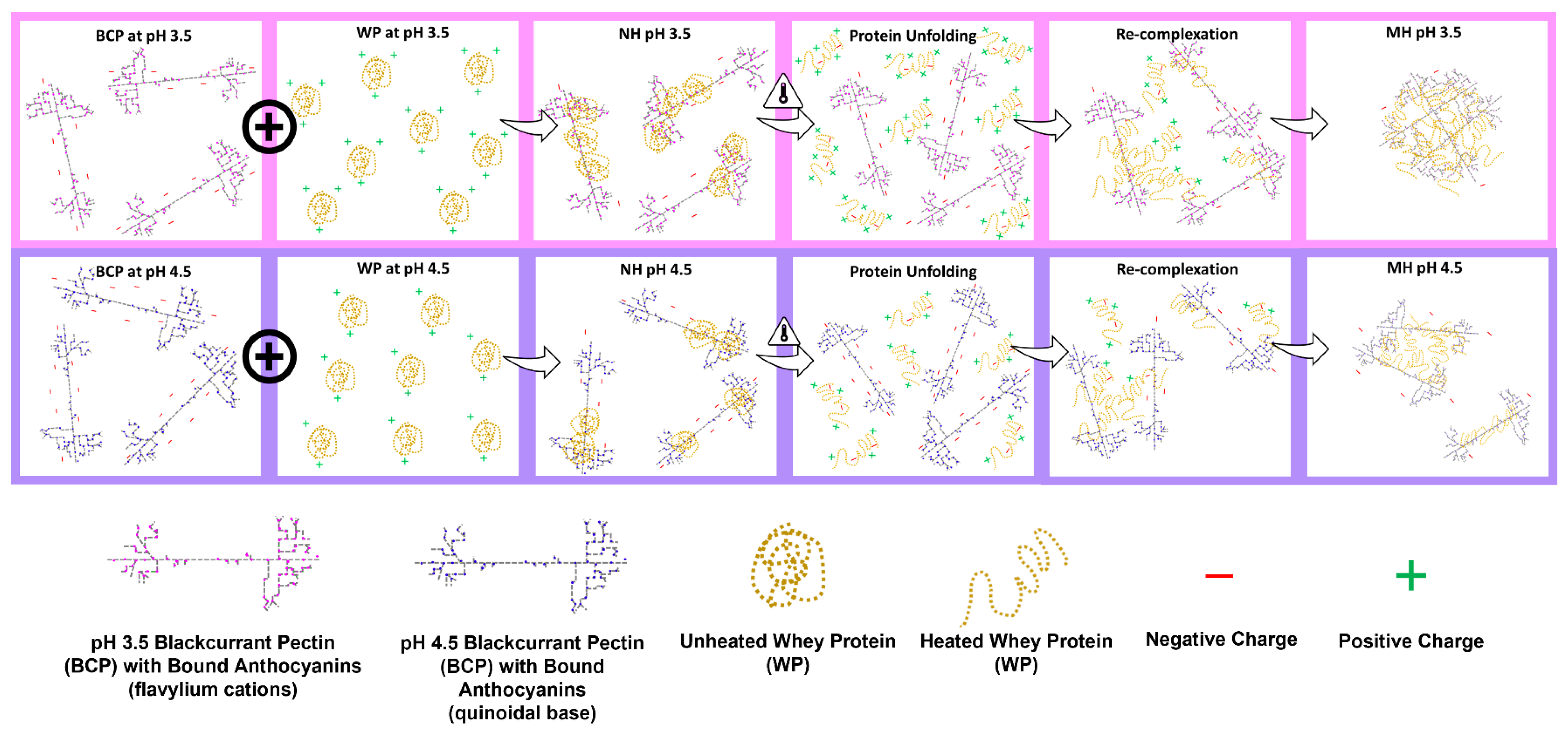 Molecules 27 04202 g011