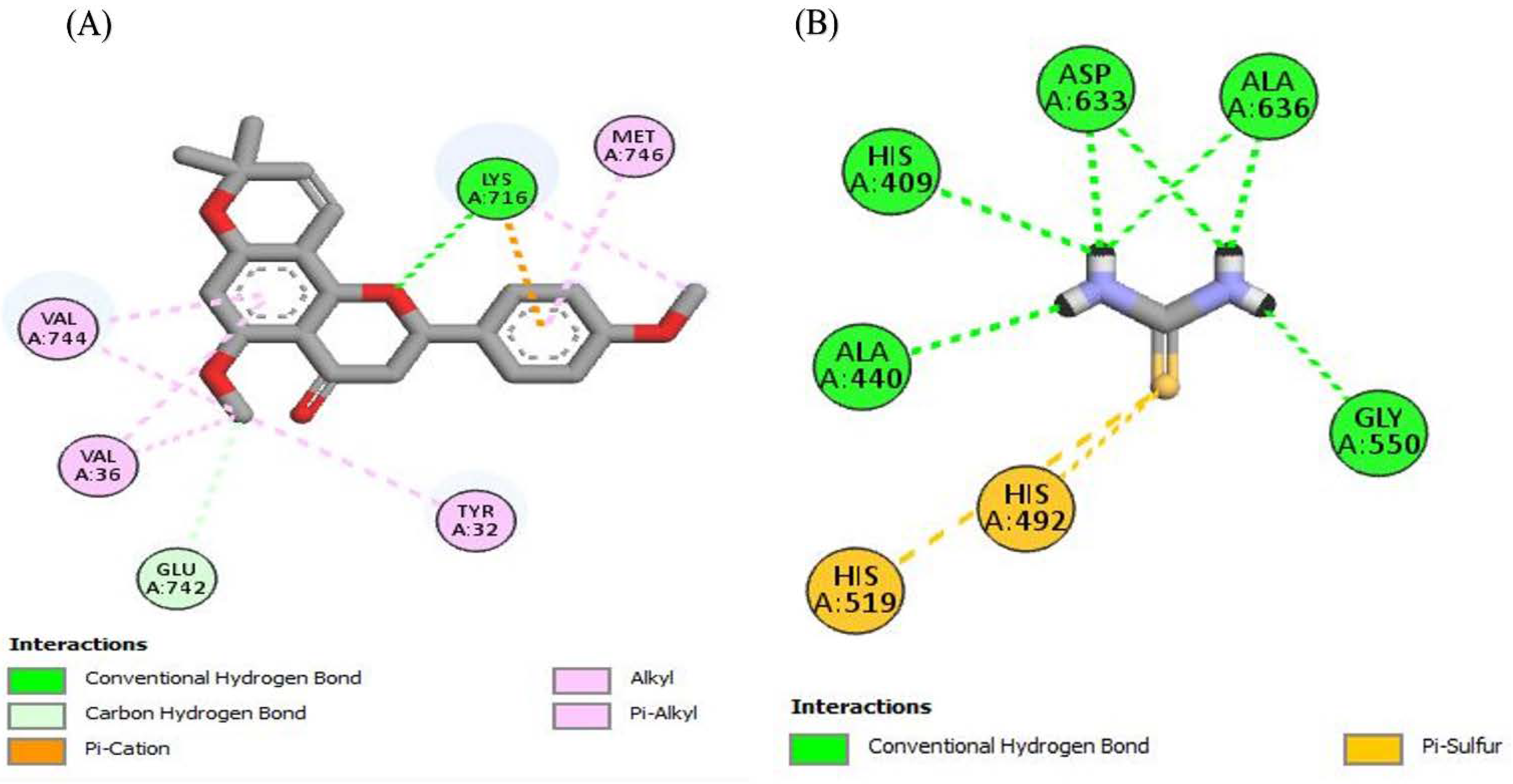 Molecules 27 04204 g004