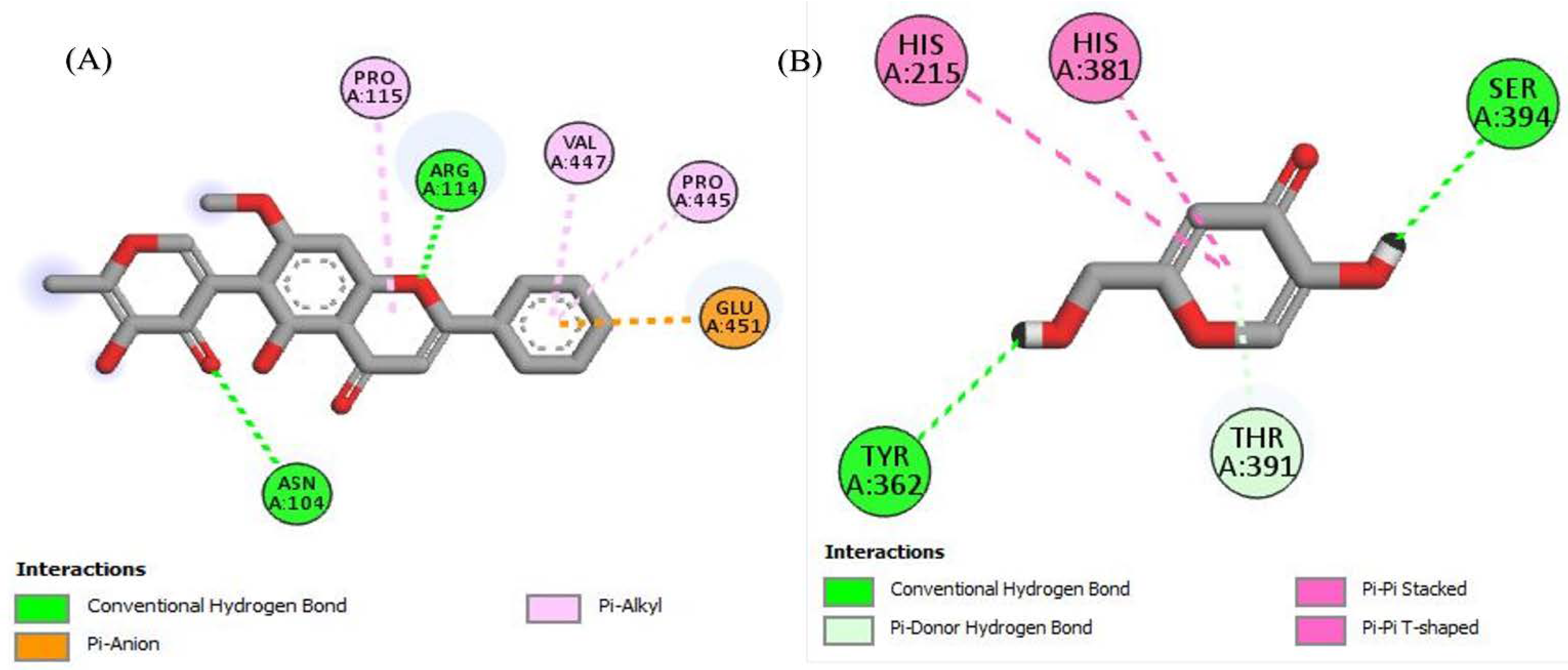 Molecules 27 04204 g005