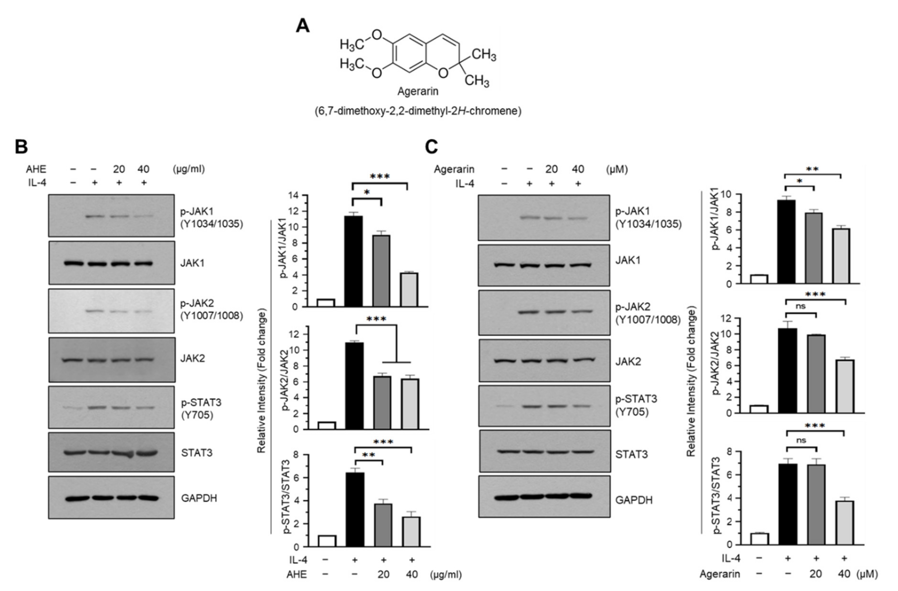 Molecules 27 04205 g003
