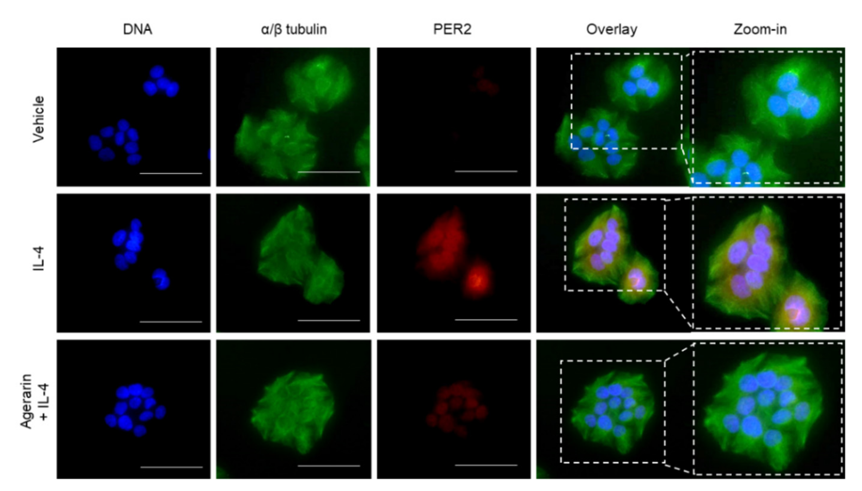 Molecules 27 04205 g005