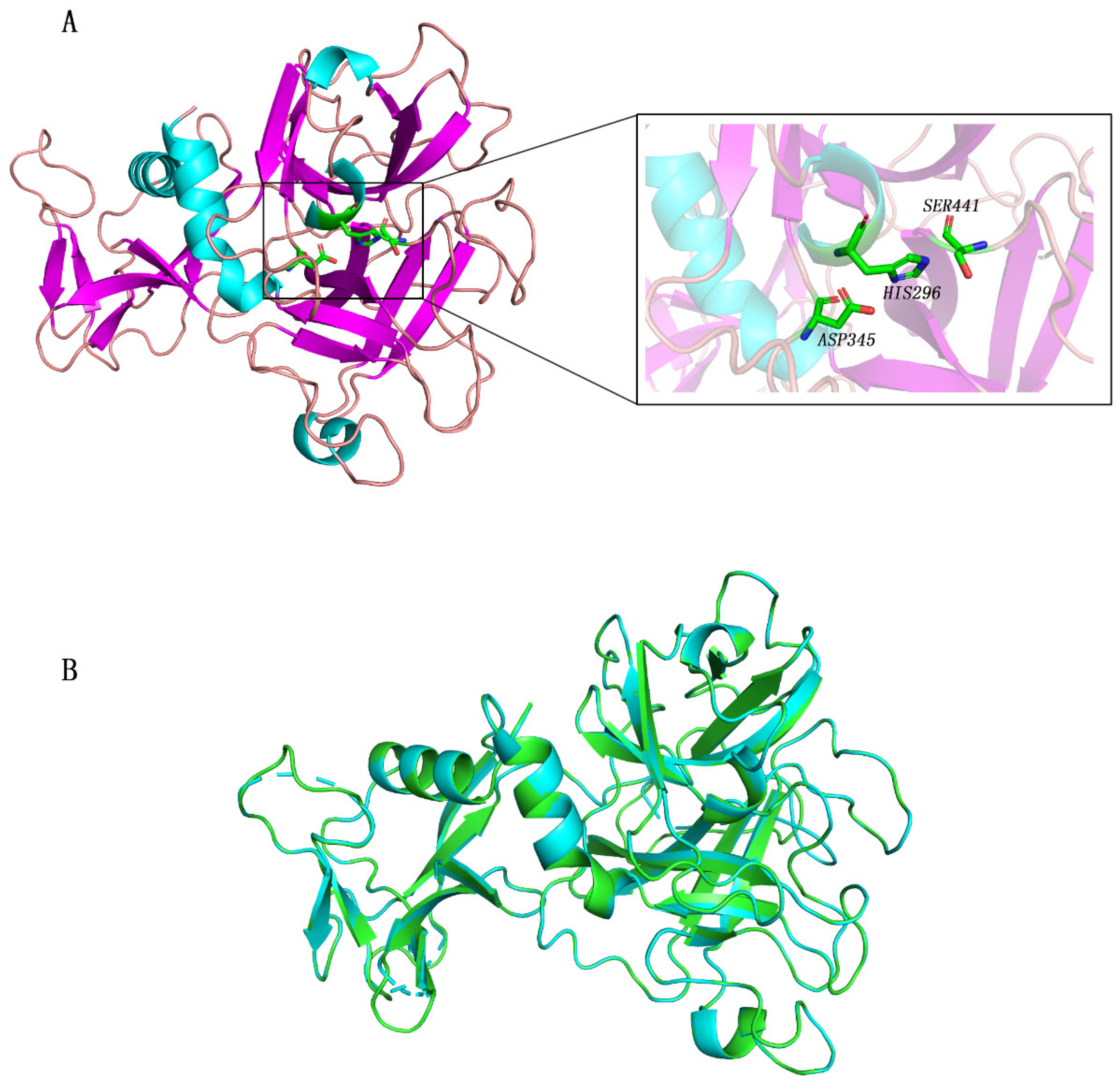 Molecules 27 04210 g001