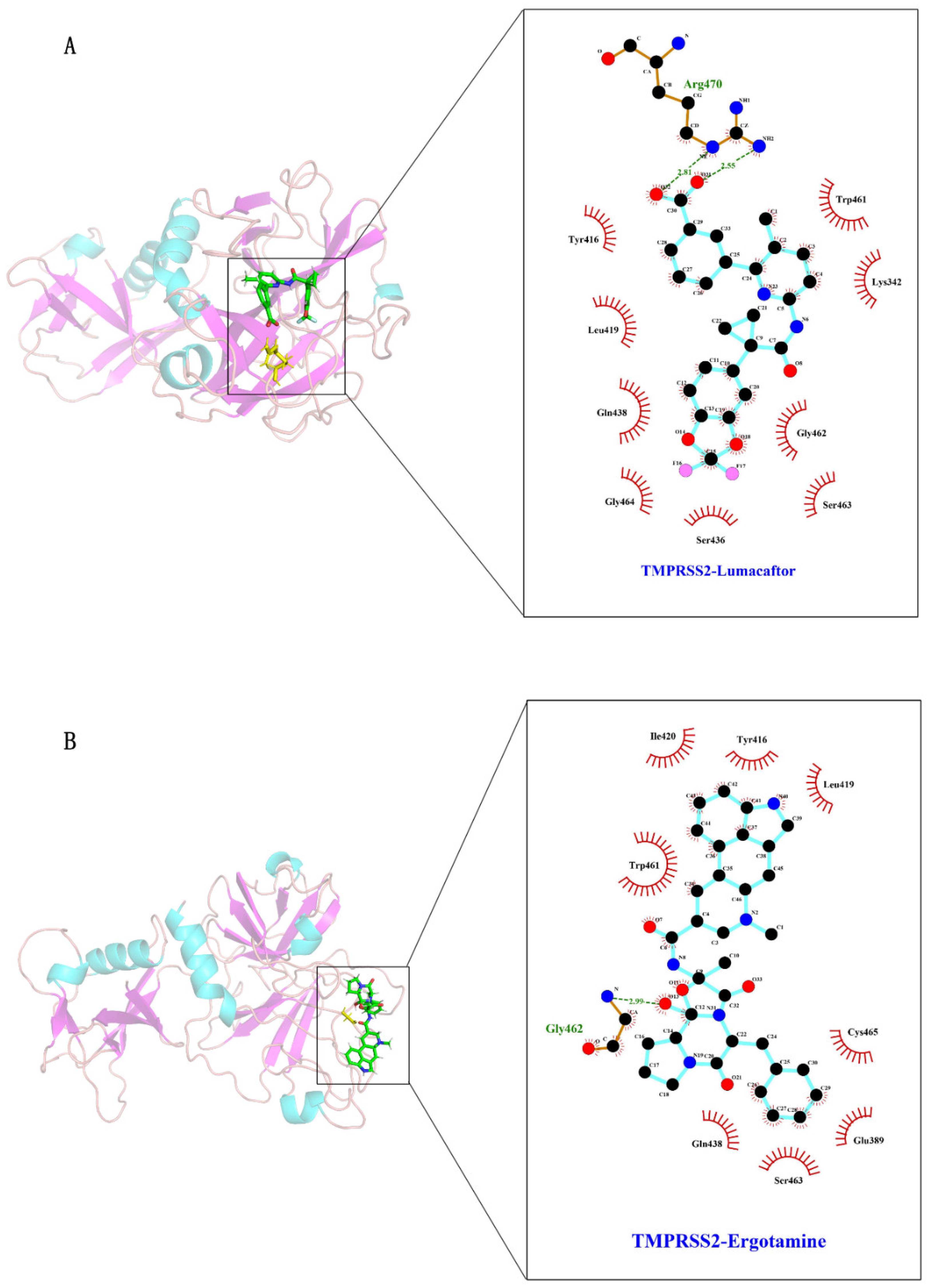 Molecules 27 04210 g005