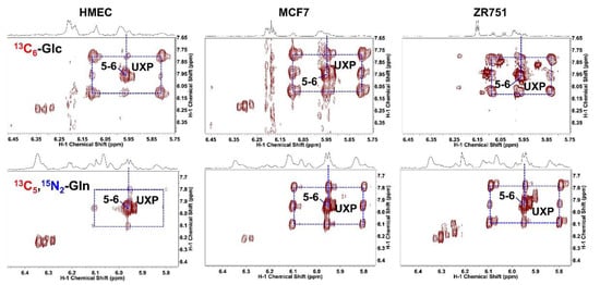 Molecules 27 04214 g004