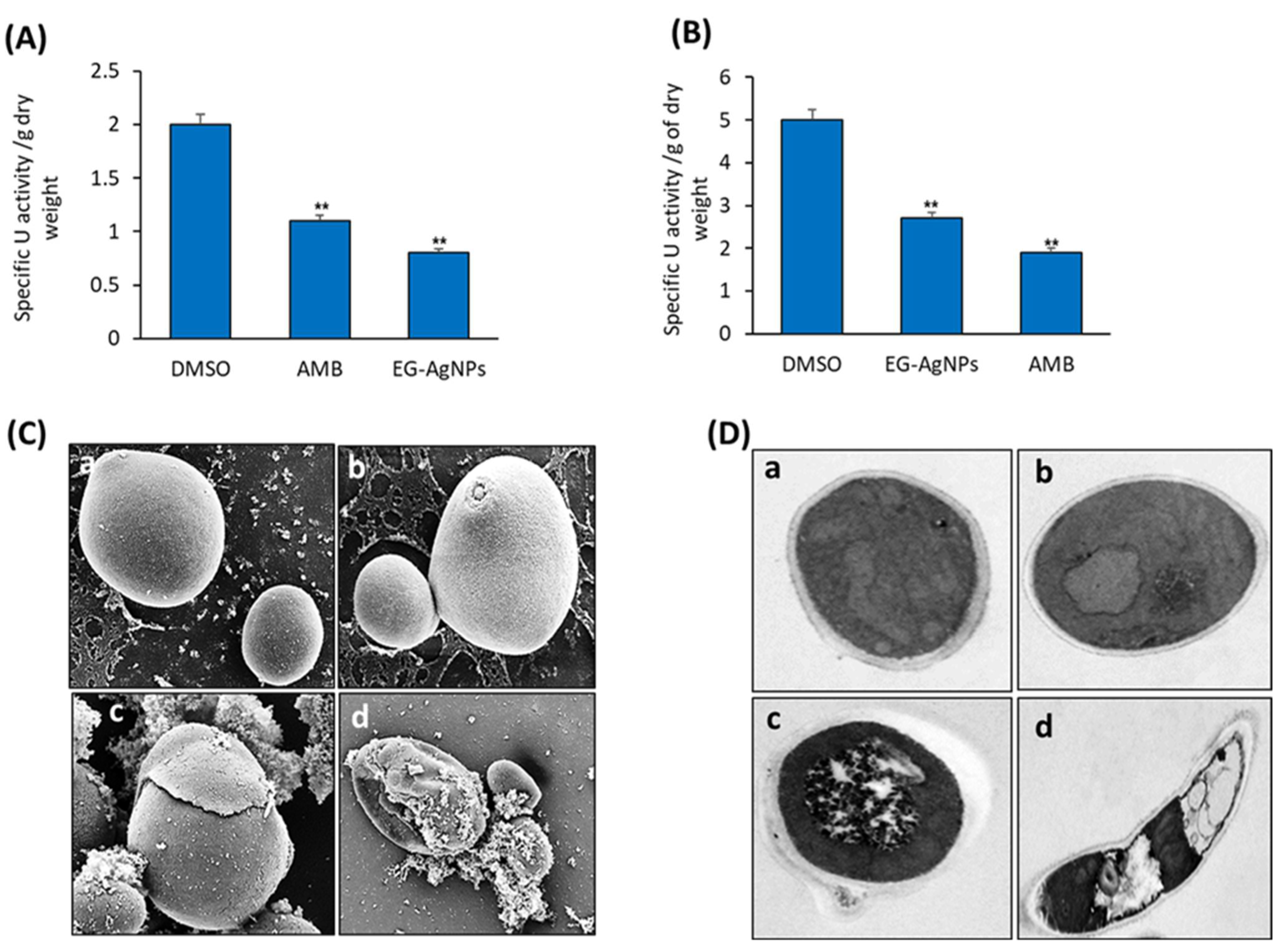 Molecules 27 04221 g005