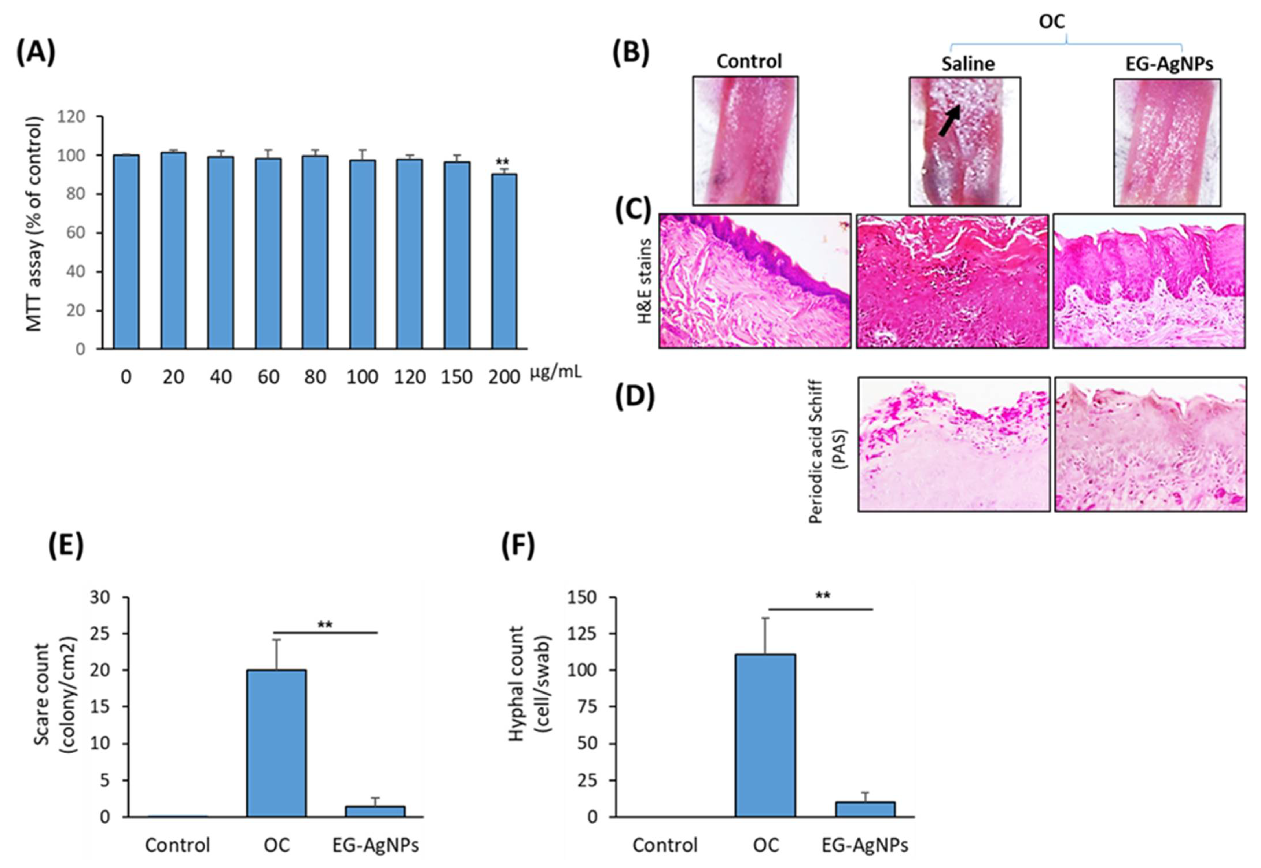 Molecules 27 04221 g006