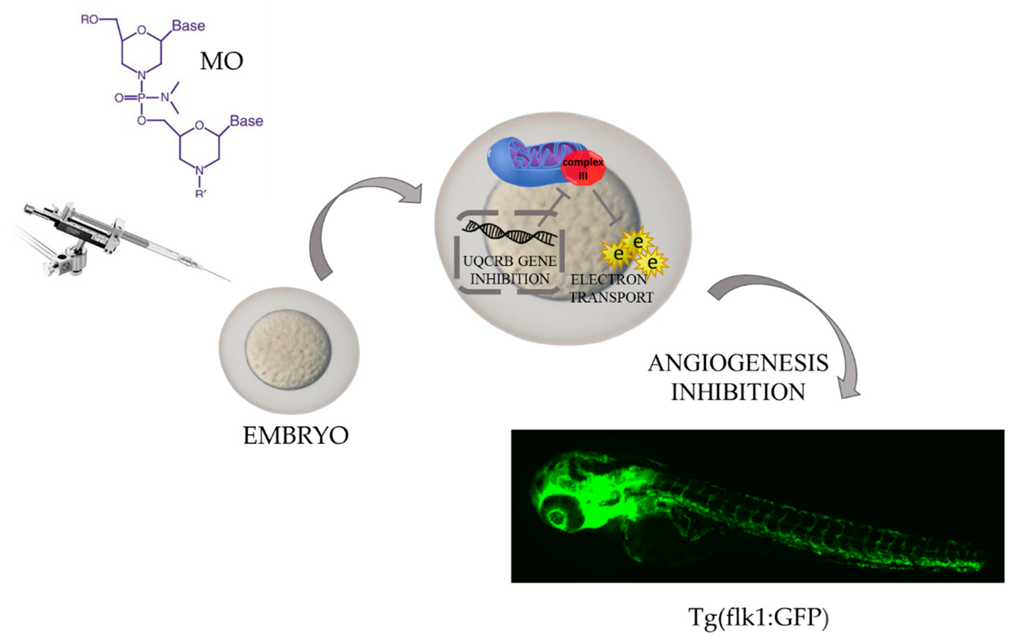 Molecules 27 04223 g003