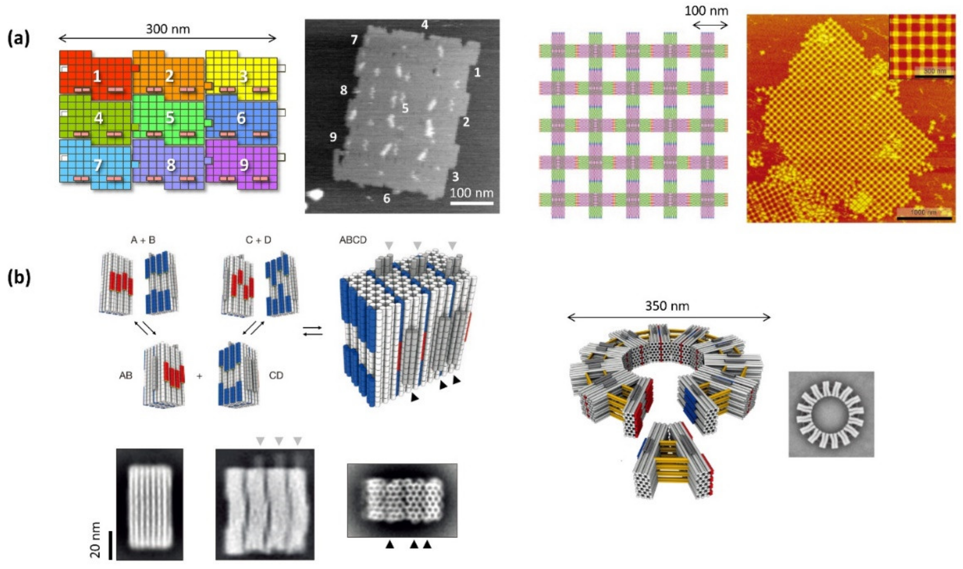 Molecules 27 04224 g001