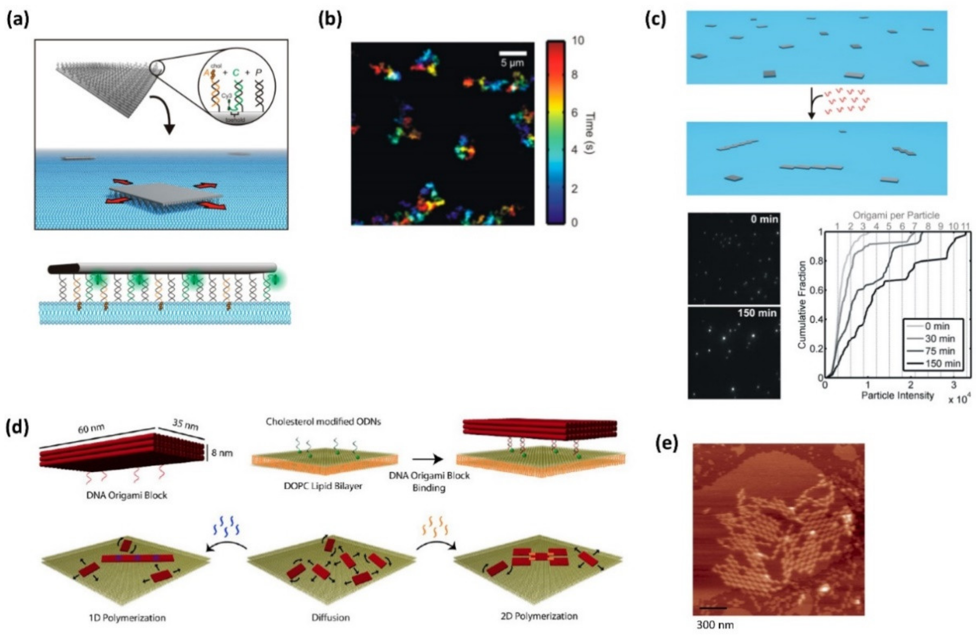 Molecules 27 04224 g002